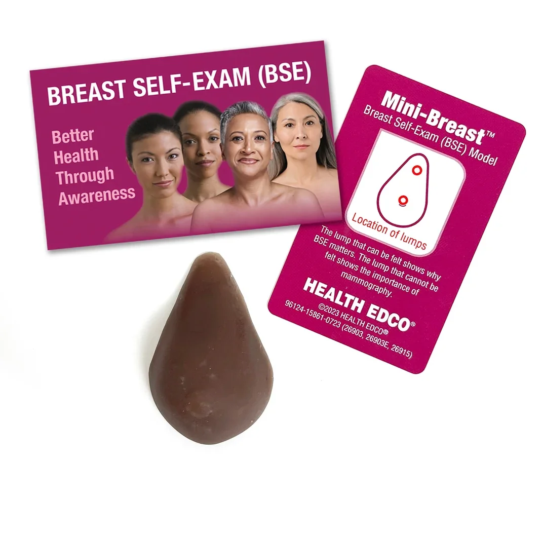 breast model brown.webp