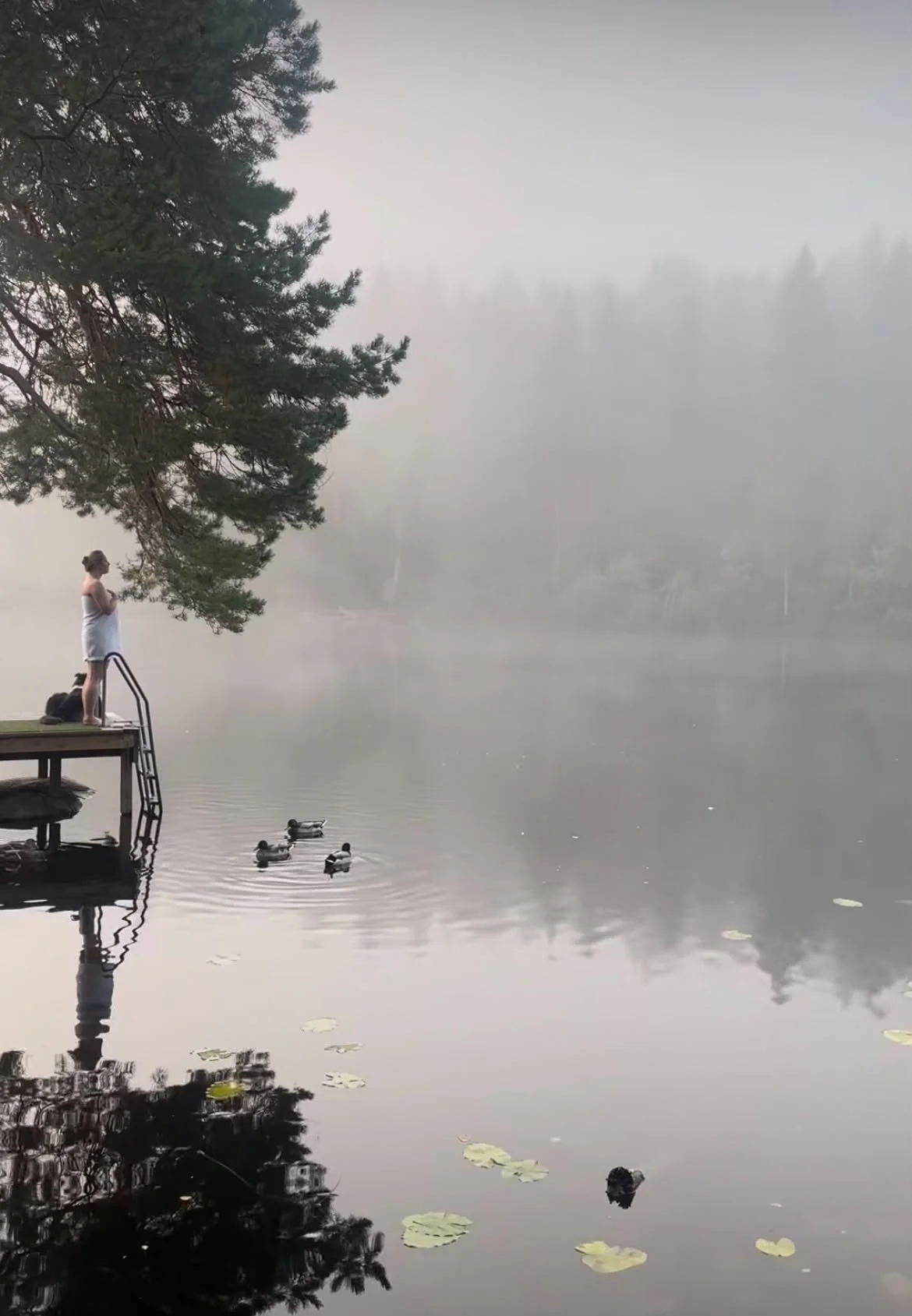 A woman in a towel standing on a dock by a misty lake, with ducks swimming in the water and trees in the background.