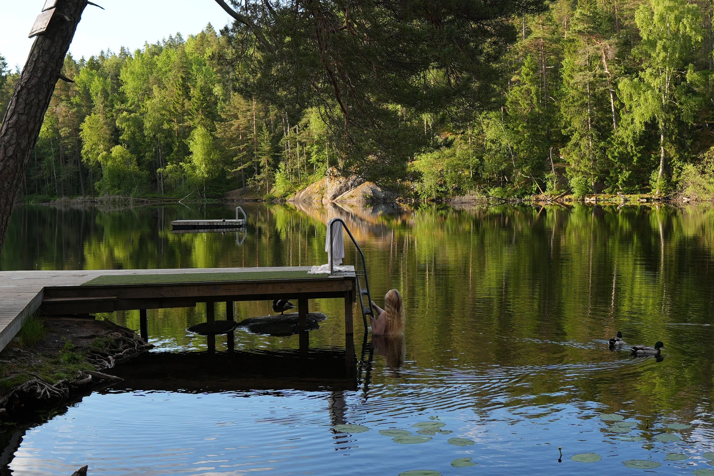A peaceful lakeside scene with lush green trees reflecting on the water. A dock extends into the lake, and children are playing in the shallow water near the shore, with ducks floating on the water.