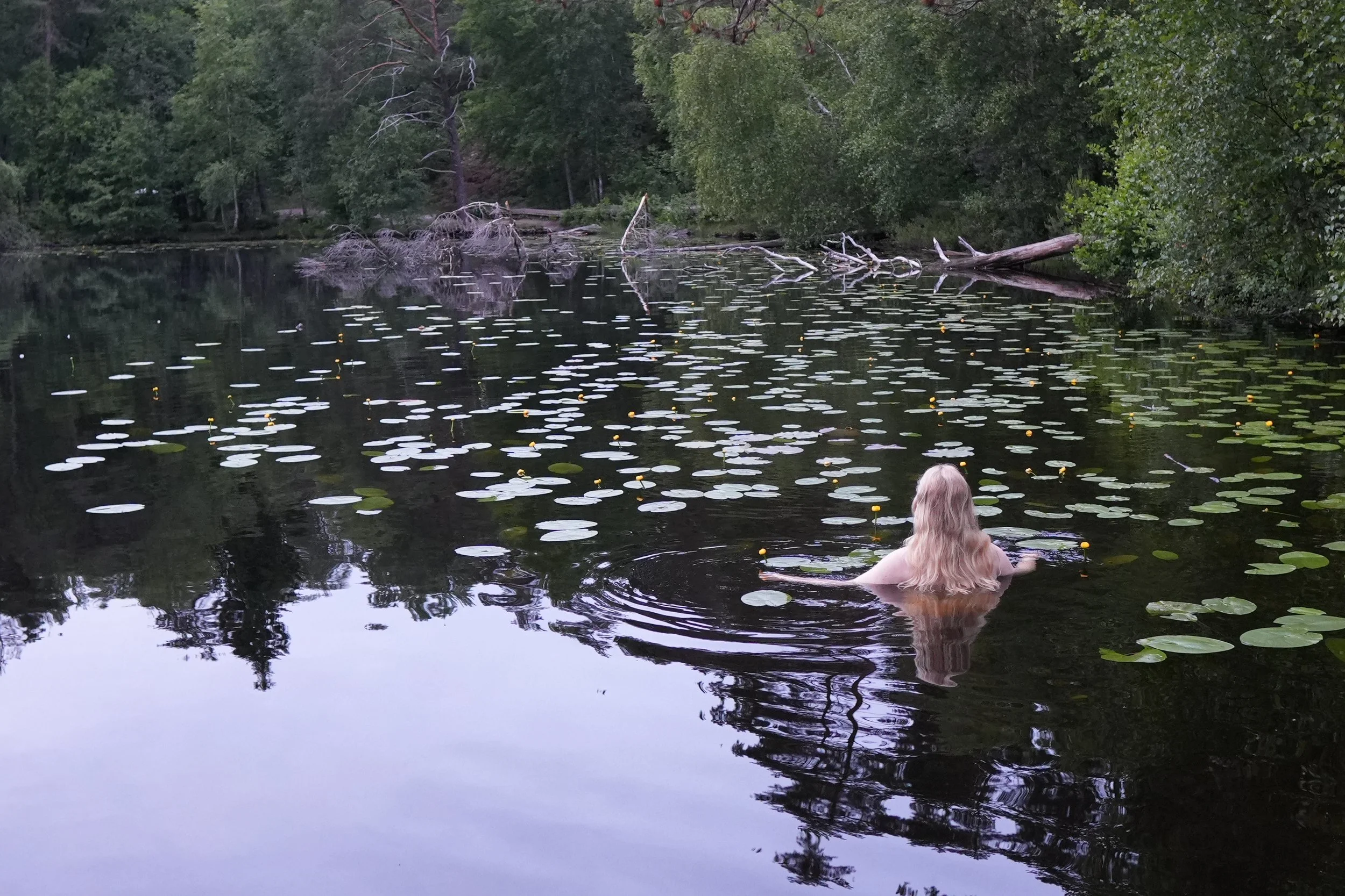 Person with long blonde hair swimming in a pond surrounded by lily pads and trees.