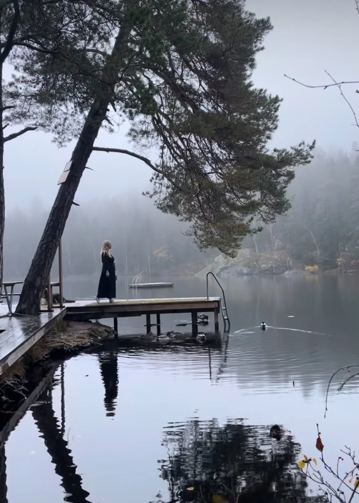 A woman standing alone on a wooden dock by a foggy lake, with trees and a boat in the background, and ducks swimming in the water.