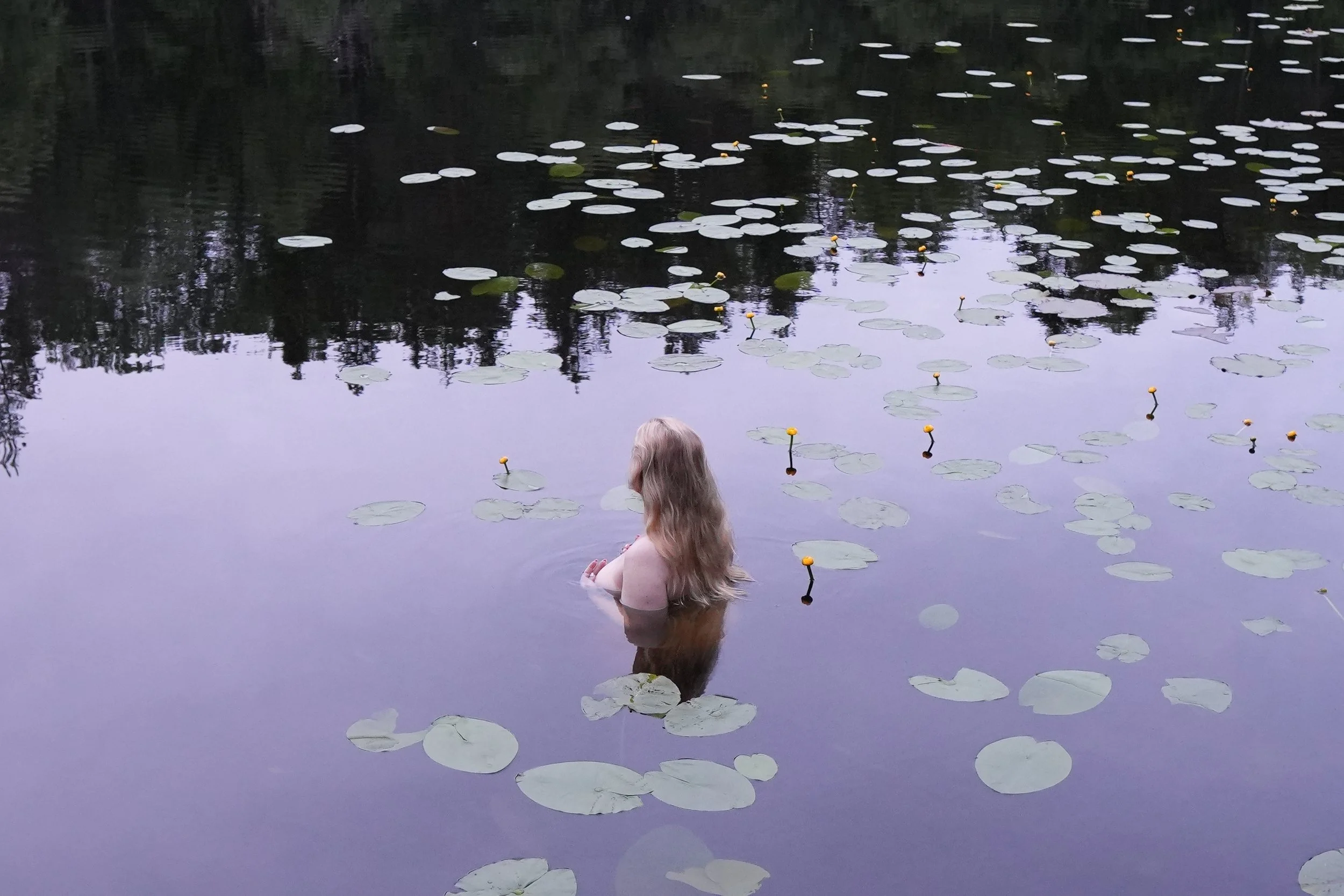 A woman with long, wavy blonde hair sitting in a body of water surrounded by lily pads and small yellow water flowers, with trees reflected in the water in the background.