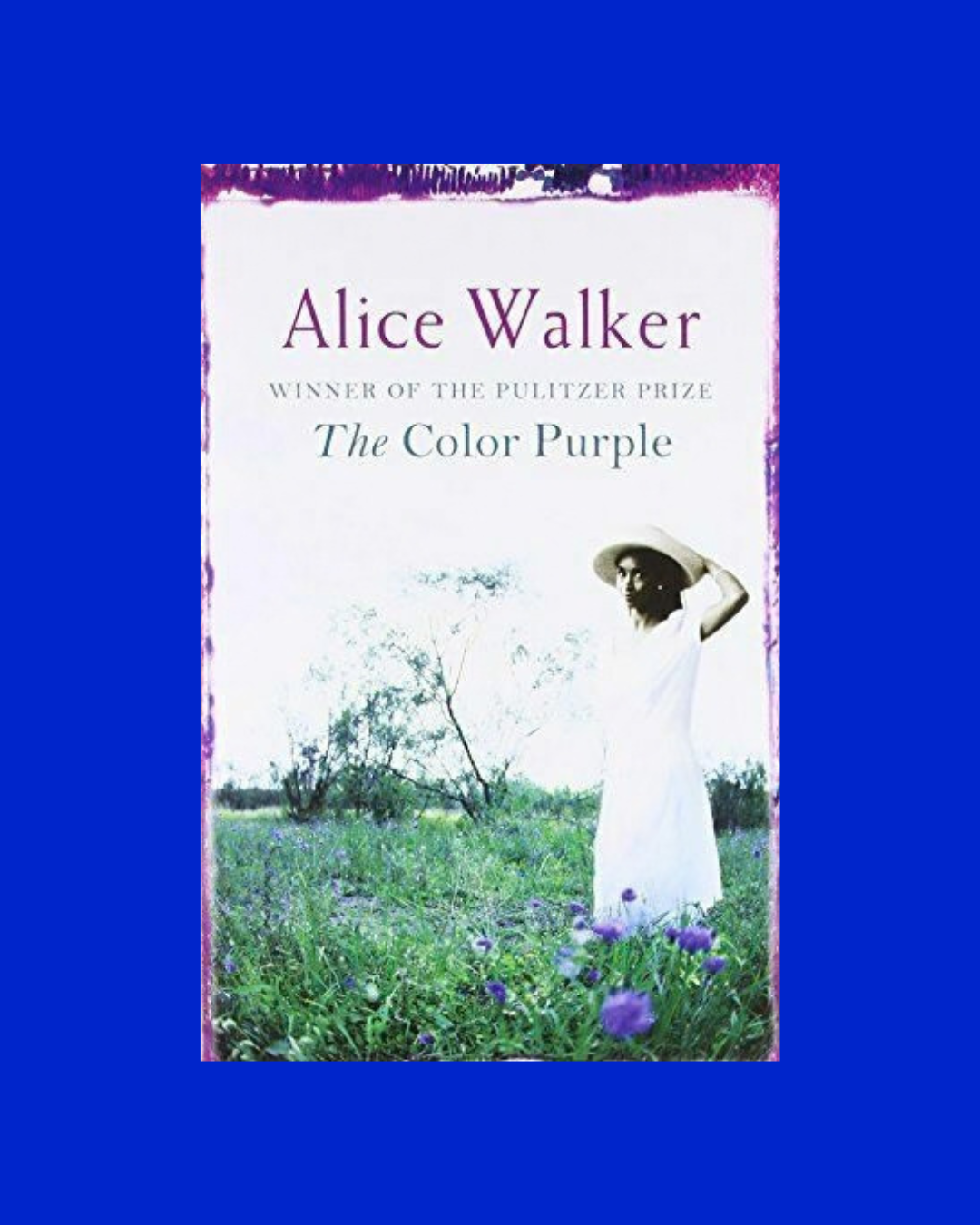 The Color Purple - Alice Walker