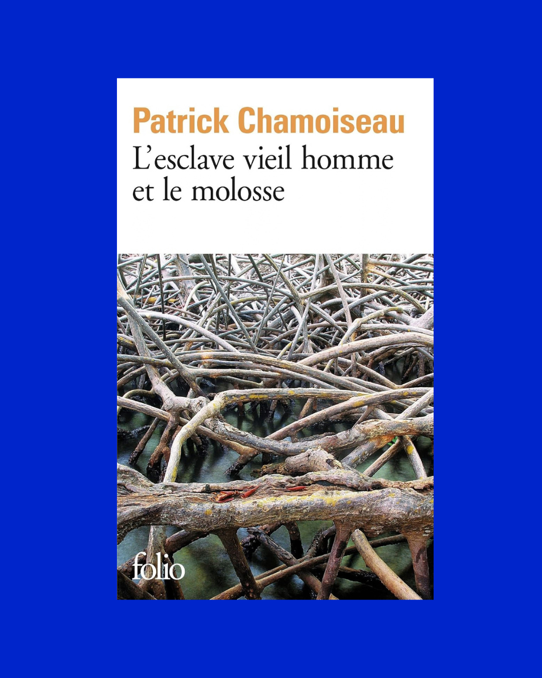L'esclave vieil homme et le molosse - Patrick Chamoiseau