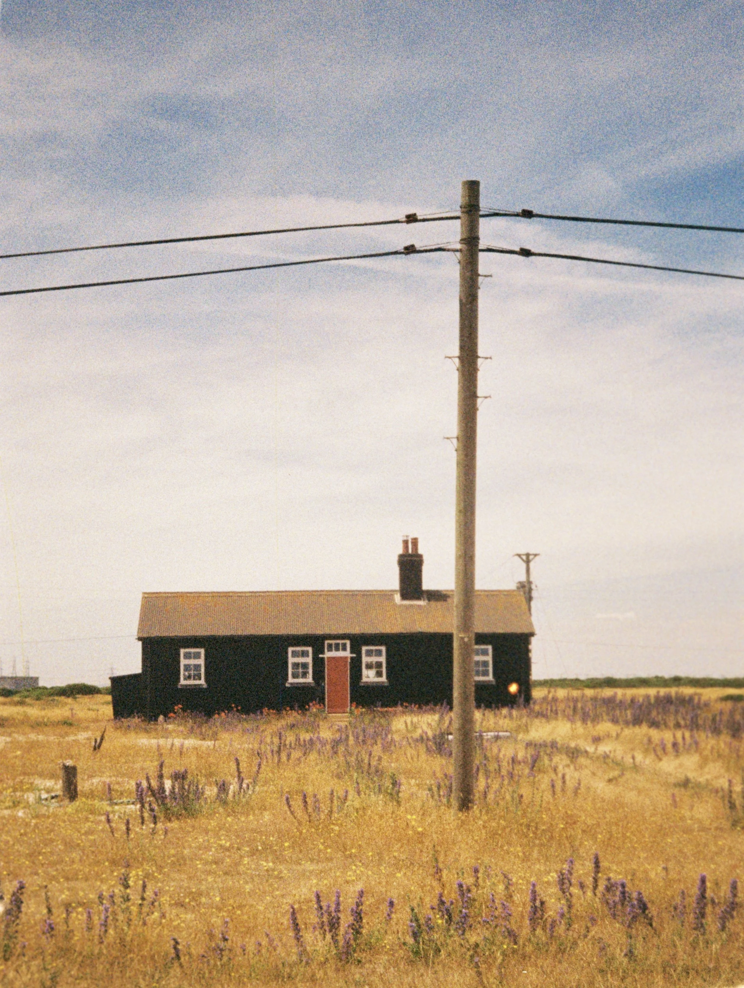 A black house with white window frames and a red door is situated in a grassy field filled with purple flowers. An electric pole with three wires extends across the scene, and there are additional poles and buildings visible in the background under a