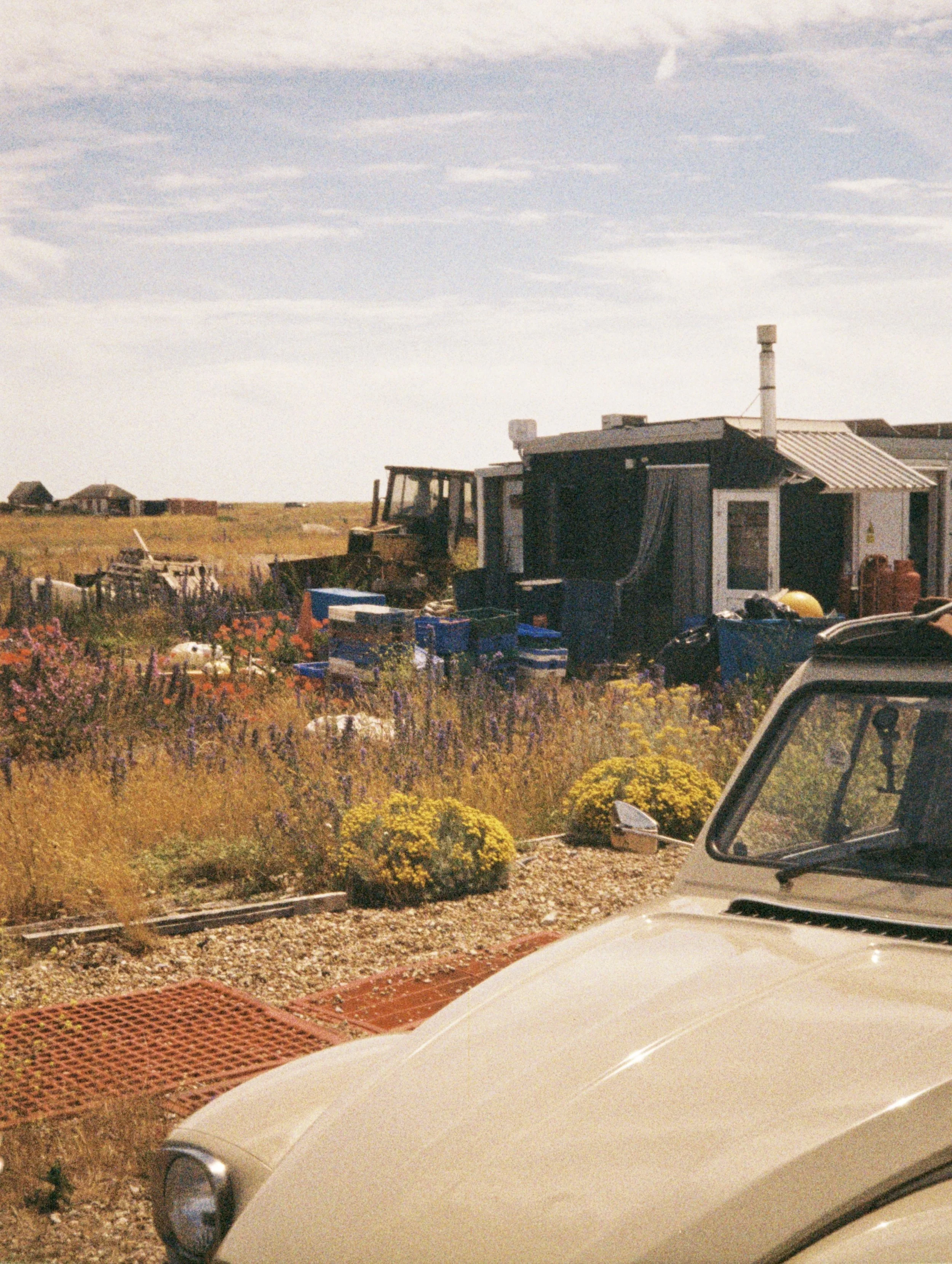 A rustic house with a metal roof and a chimney sits in a field with wildflowers, next to an off-white vintage car parked on a gravel driveway on a partly cloudy day.