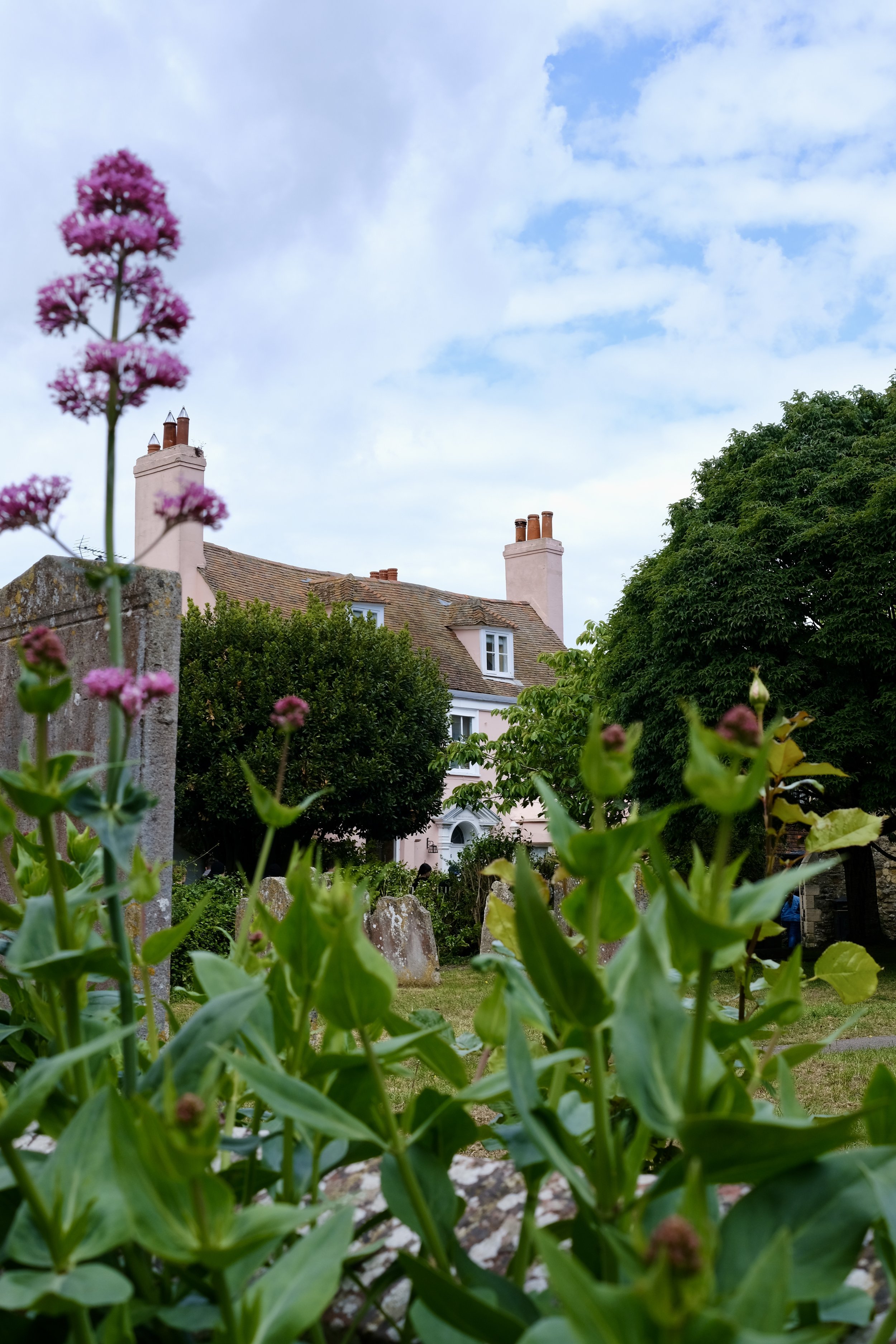 A garden with pink flowering plants in the foreground, a house with brick chimneys, green trees, and a partly cloudy sky in the background.