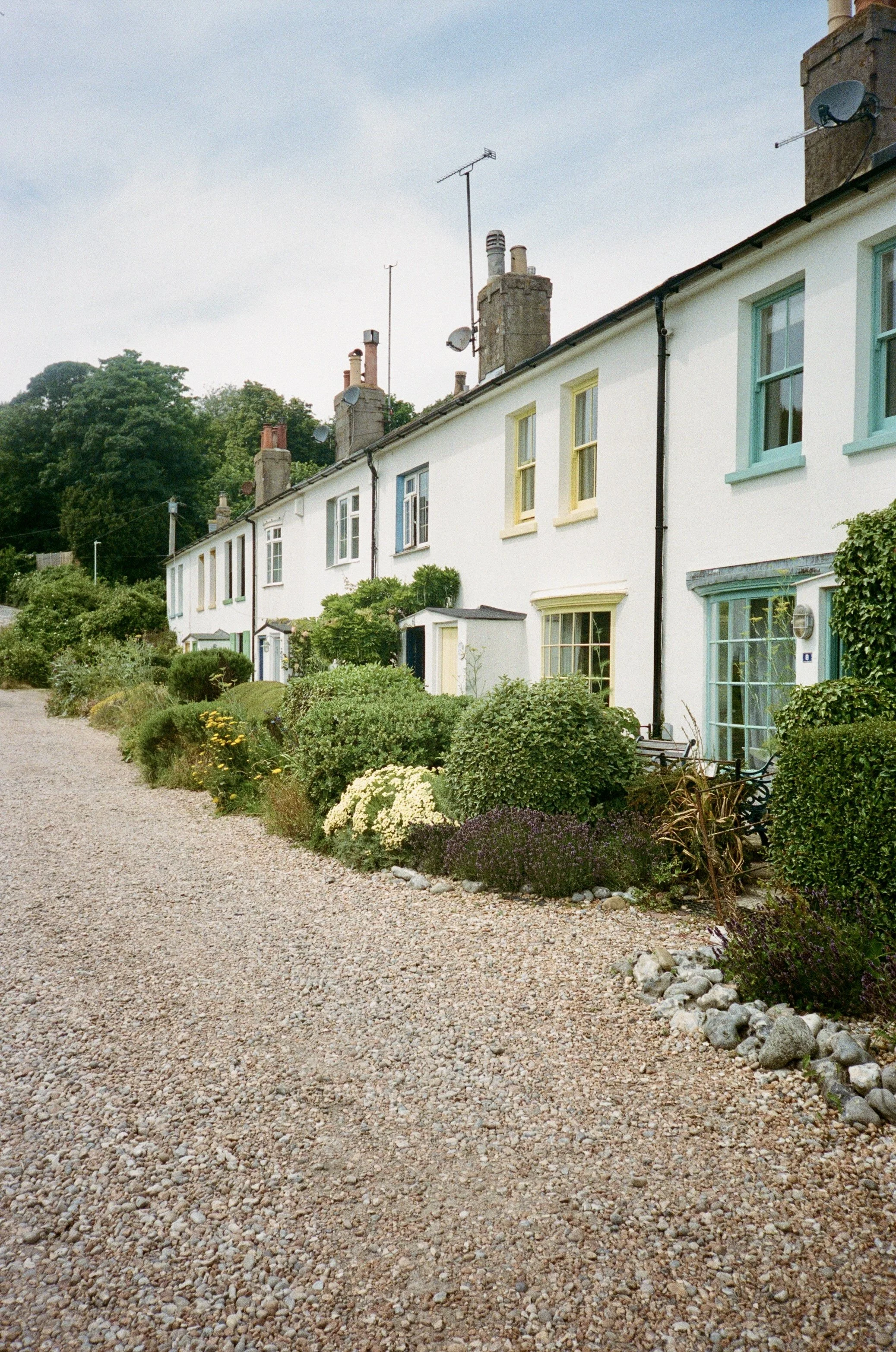 Row of white houses with colorful window frames, small front gardens, and bushes, under a blue sky with clouds.
