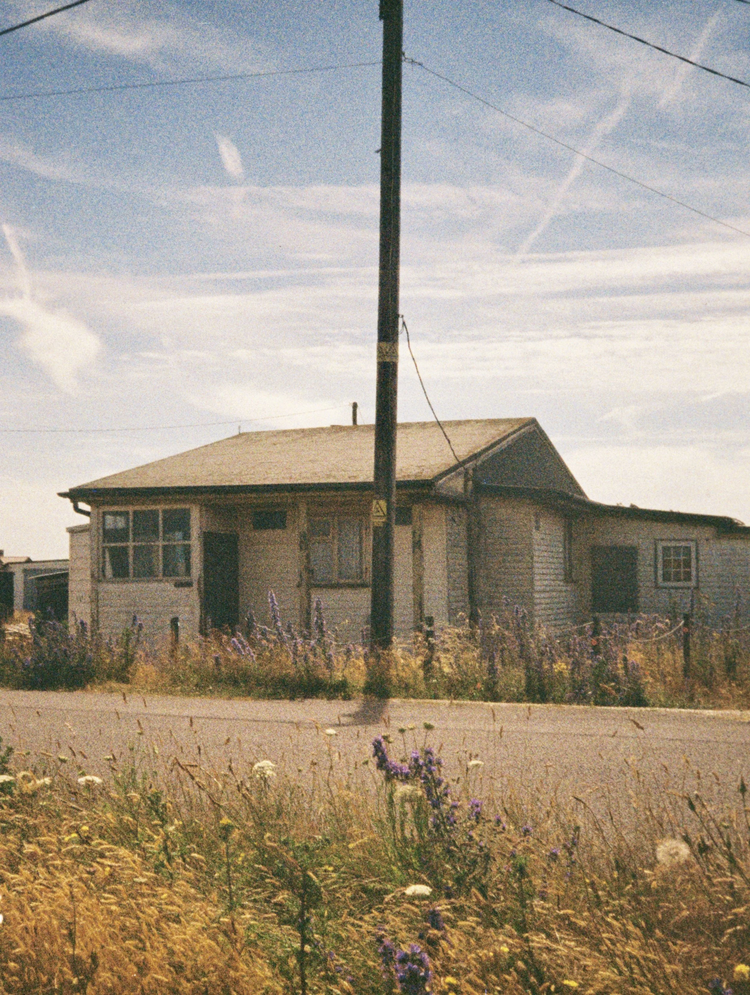 A house with a yellow exterior and a small porch, a black utility pole with wires, and a garden with purple, white, and yellow flowers in the foreground under a cloudy sky.