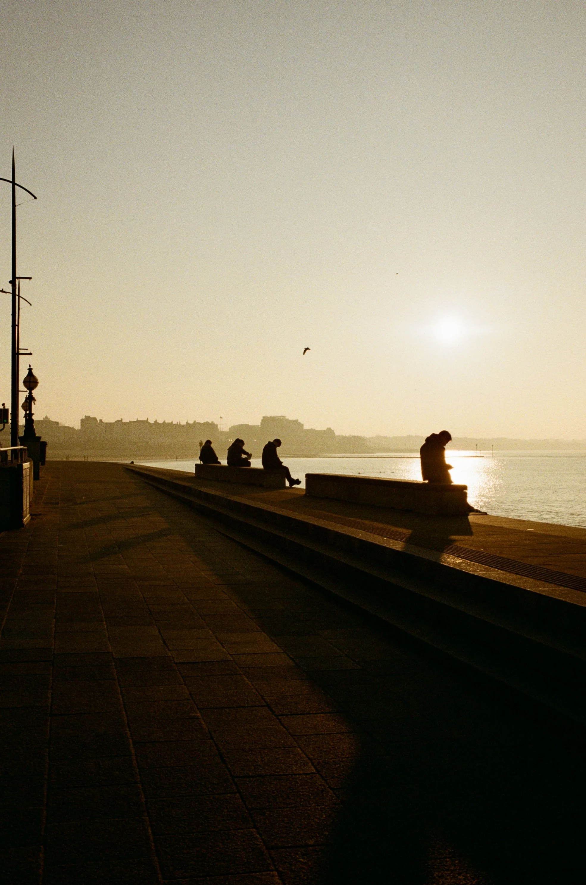 People sitting on benches along a riverbank during sunset with a city skyline in the background and a bird flying in the sky.