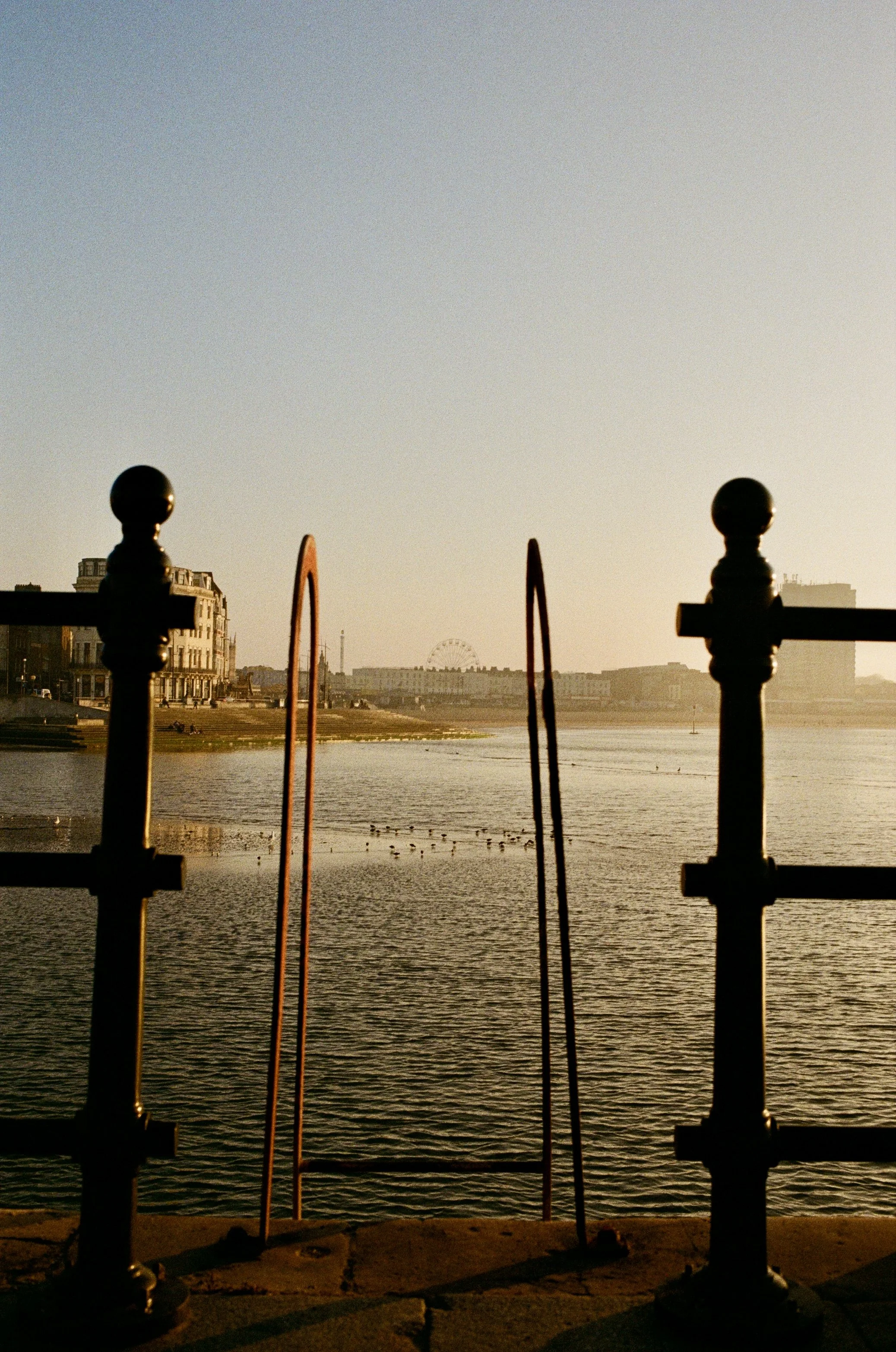 View of a river or lake with buildings and a ferris wheel in the background, golden hour lighting, and a decorative metal railing in the foreground, silhouetted against the water and sky.