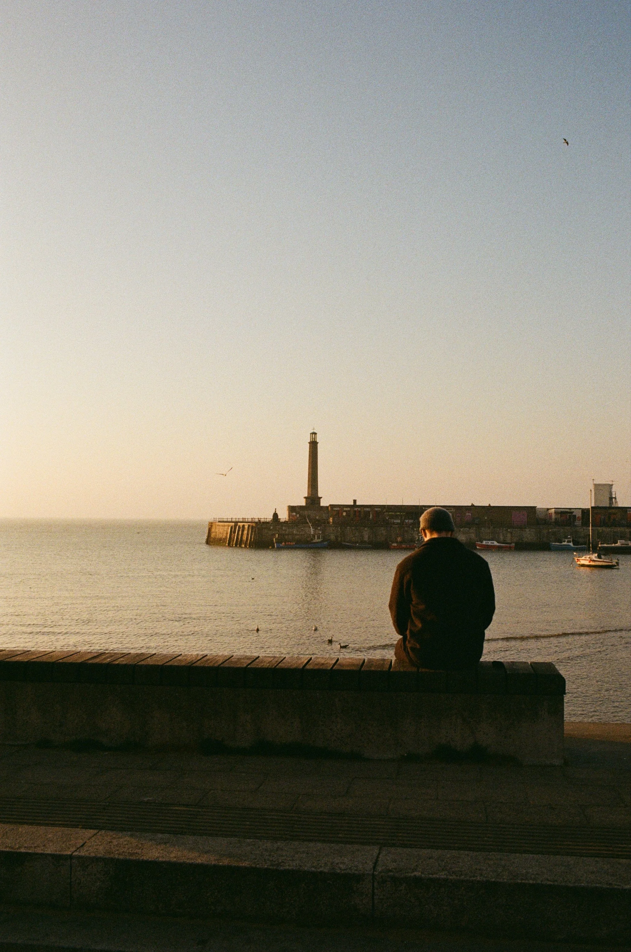 A person sitting on a wooden bench near the water, looking out at a lighthouse and harbor in the distance, with a few birds flying in the sky during sunset.