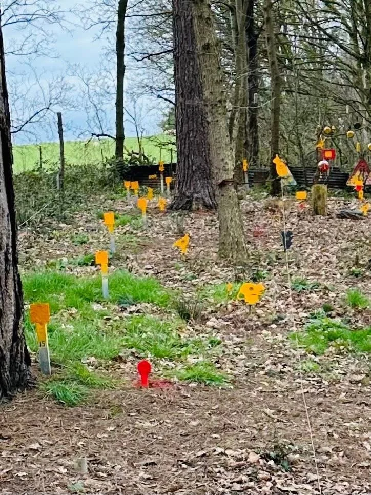 A wooded area with small yellow and orange markers on stakes and a few black markers, possibly indicating a property or boundaries, and a red marker near the ground.