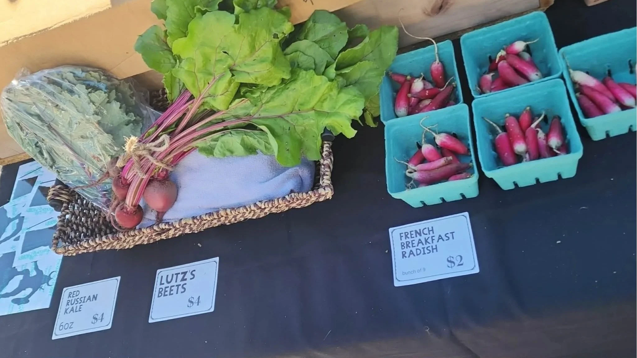 Seasonal beets radishes and greens displayed at the Heathen Farms market table