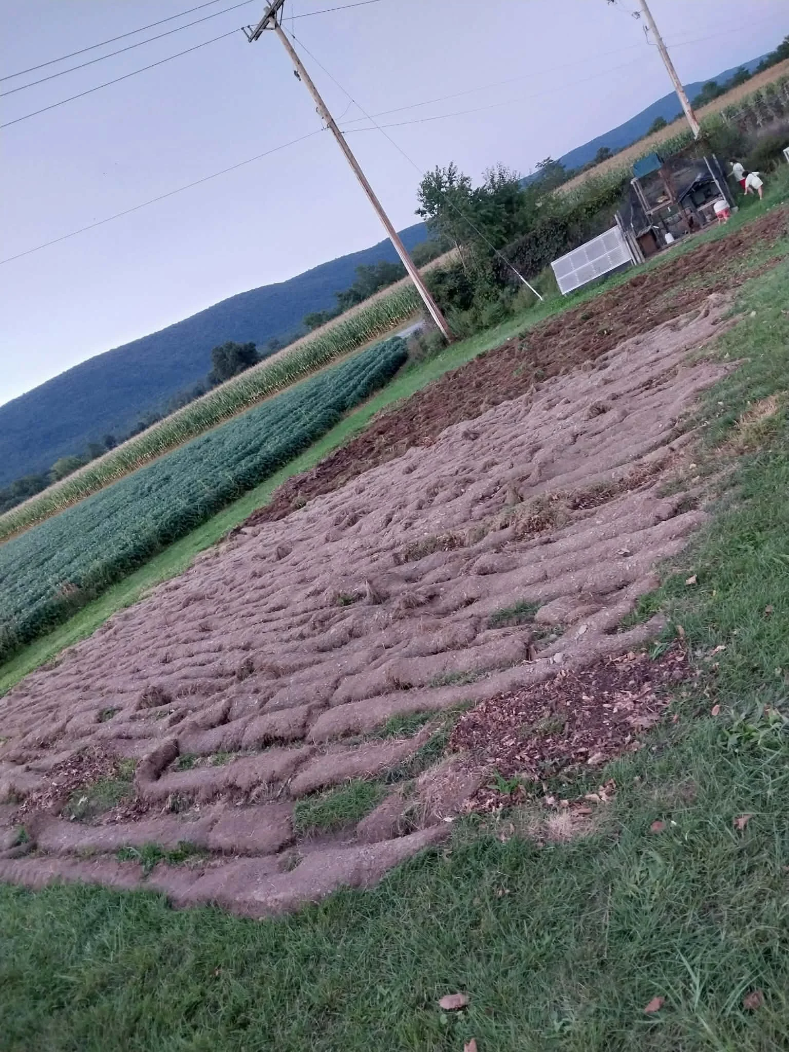 Moving Dirt, Building Relationships, and Getting Ready for What’s Next