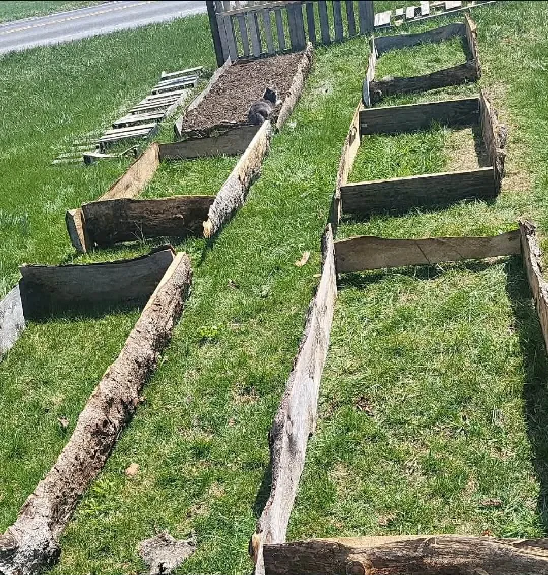 Raised garden beds built from reclaimed slab wood at Heathen Farms