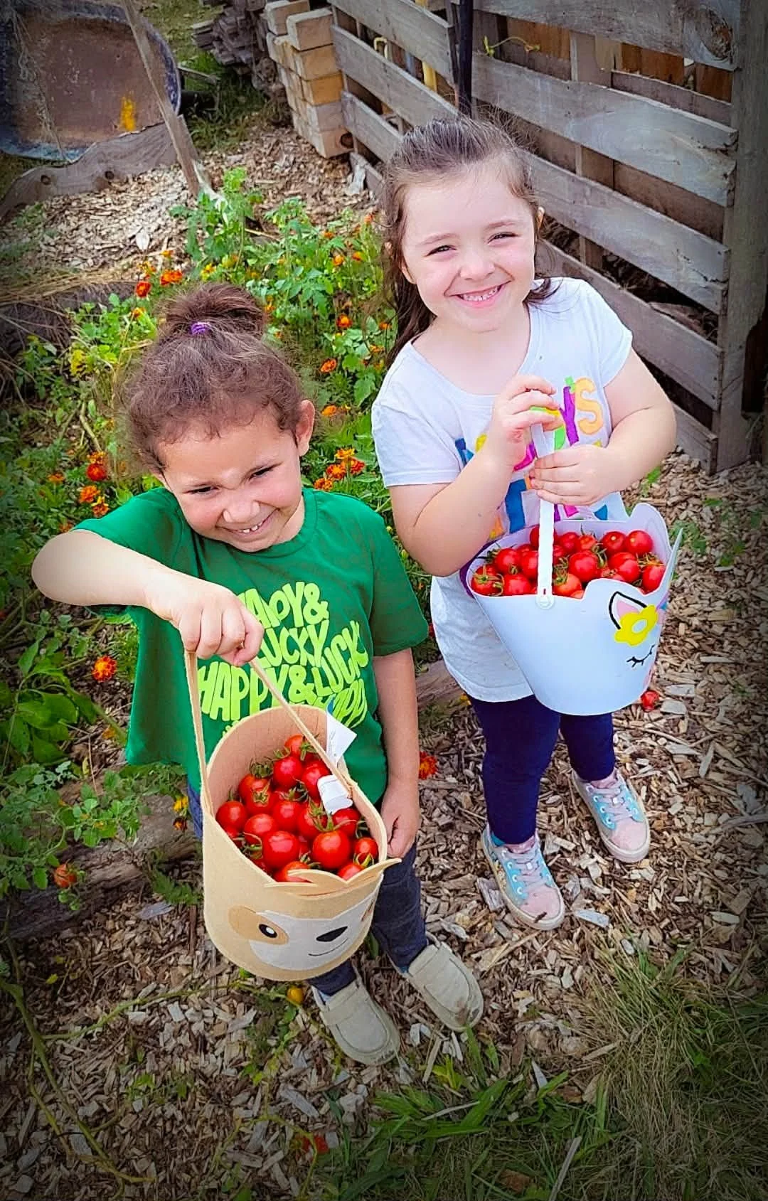Heathen Farms children carrying buckets of freshly harvested tomatoes in Newburg Pennsylvania
