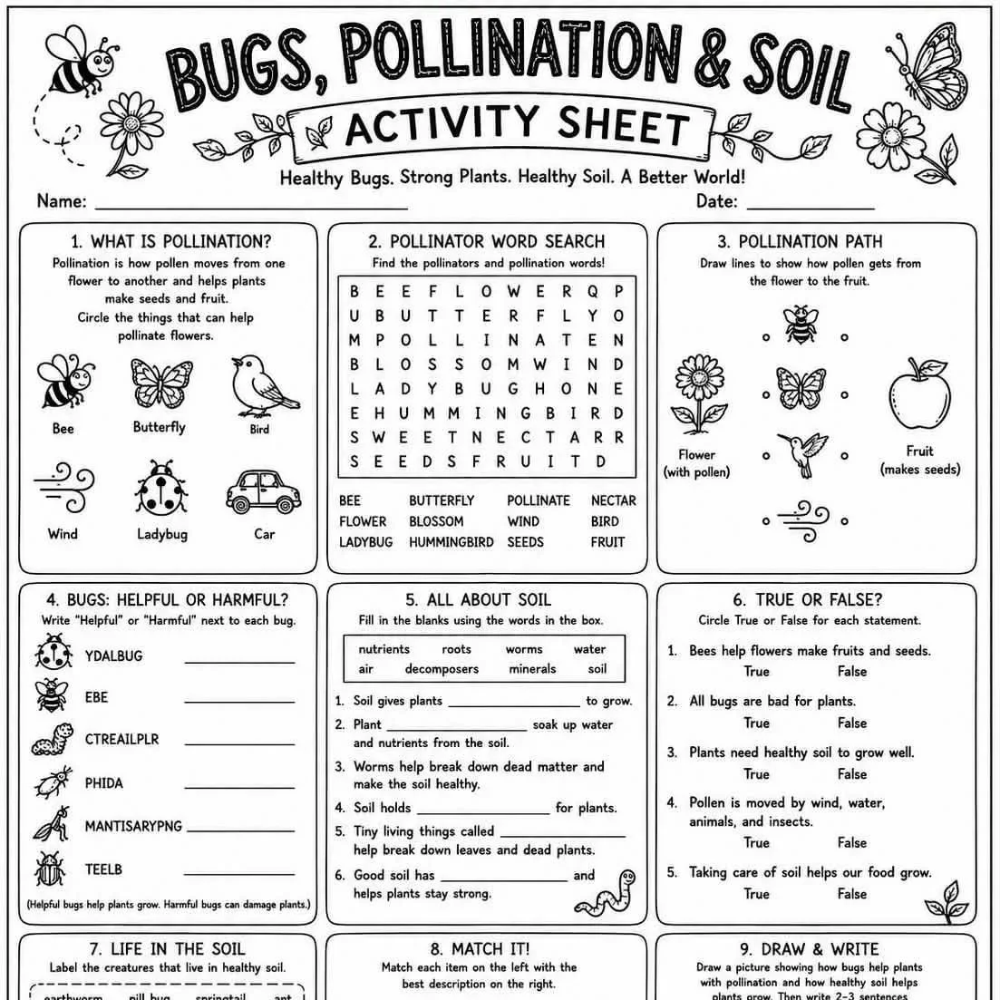 Bugs, Pollination & Soil Activity Sheet