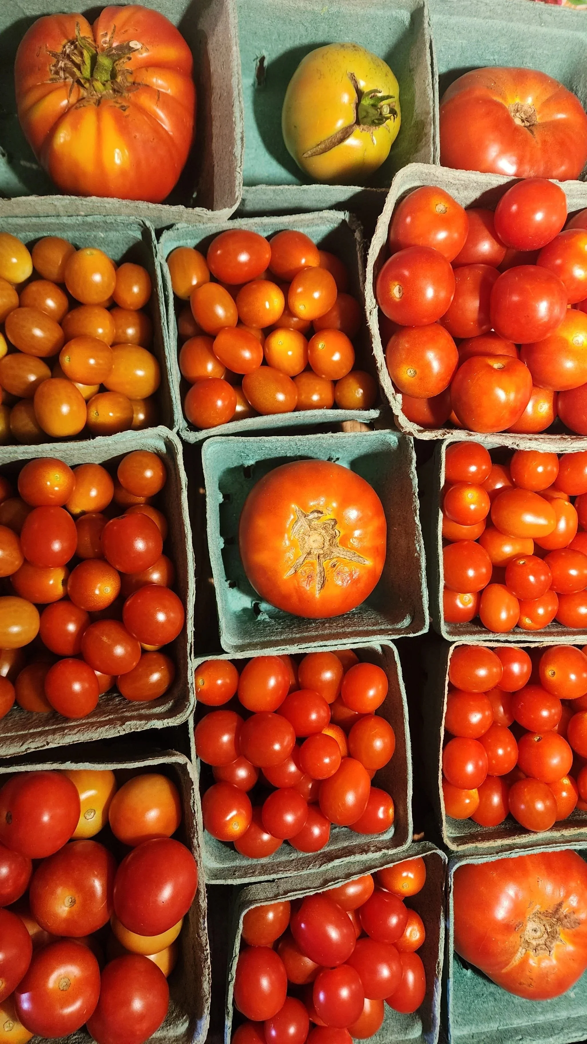 Fresh Heathen Farms Tomatoes