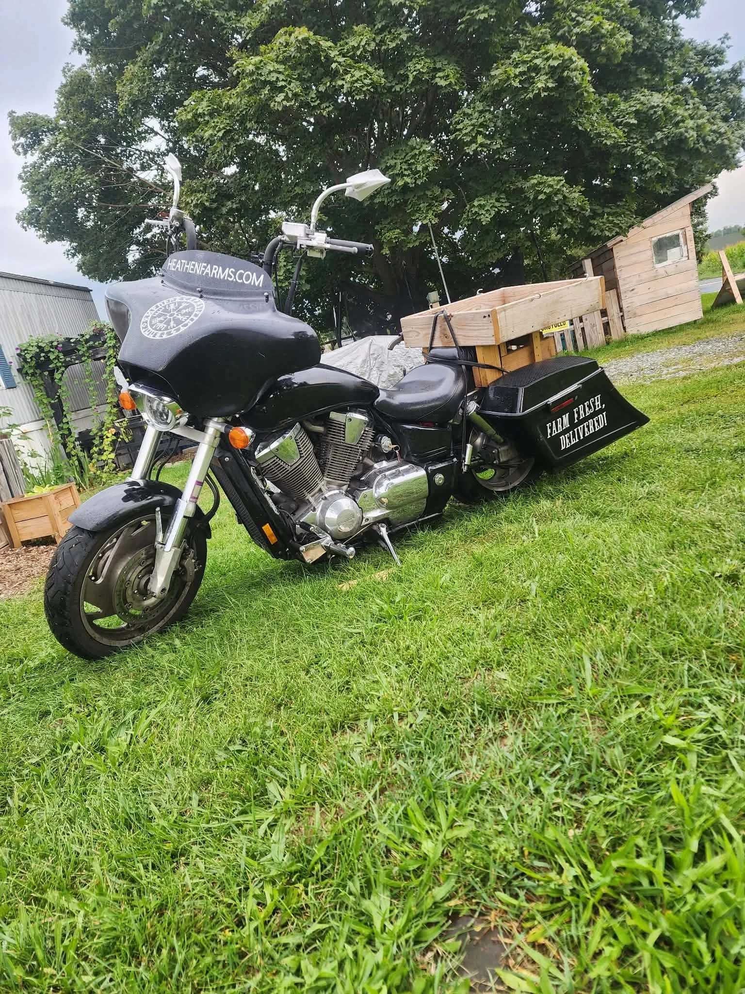 A black motorcycle parked on grass in front of a large tree, with a wooden shed and some gardening tools nearby, and a sign on a side bag that says 'Farm Fresh, Delivered!'