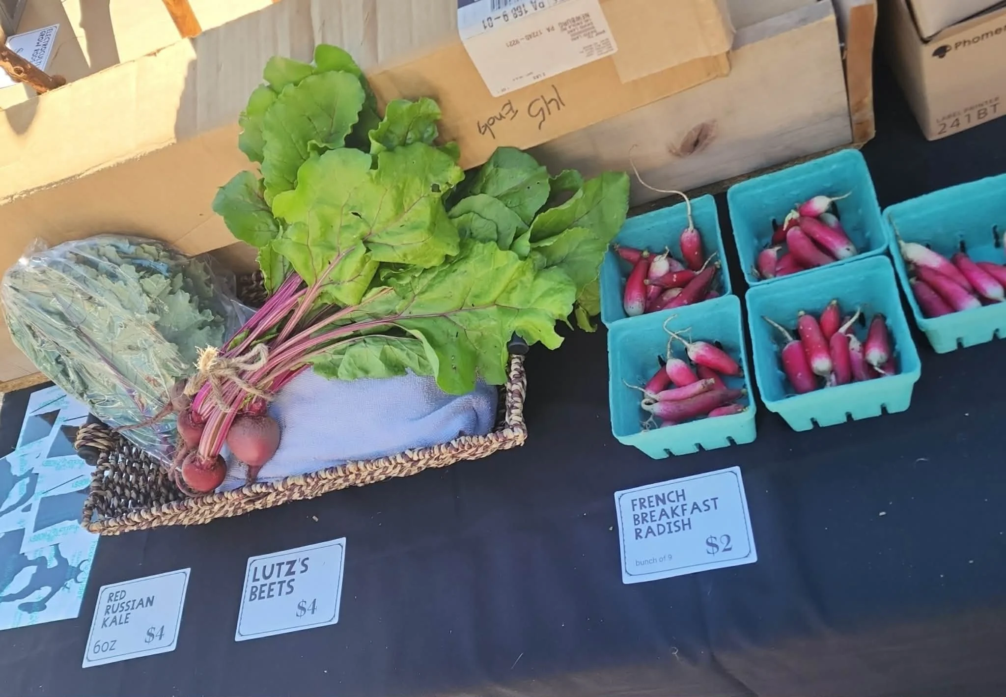 Seasonal beets, radishes, and greens displayed at the Heathen Farms market table