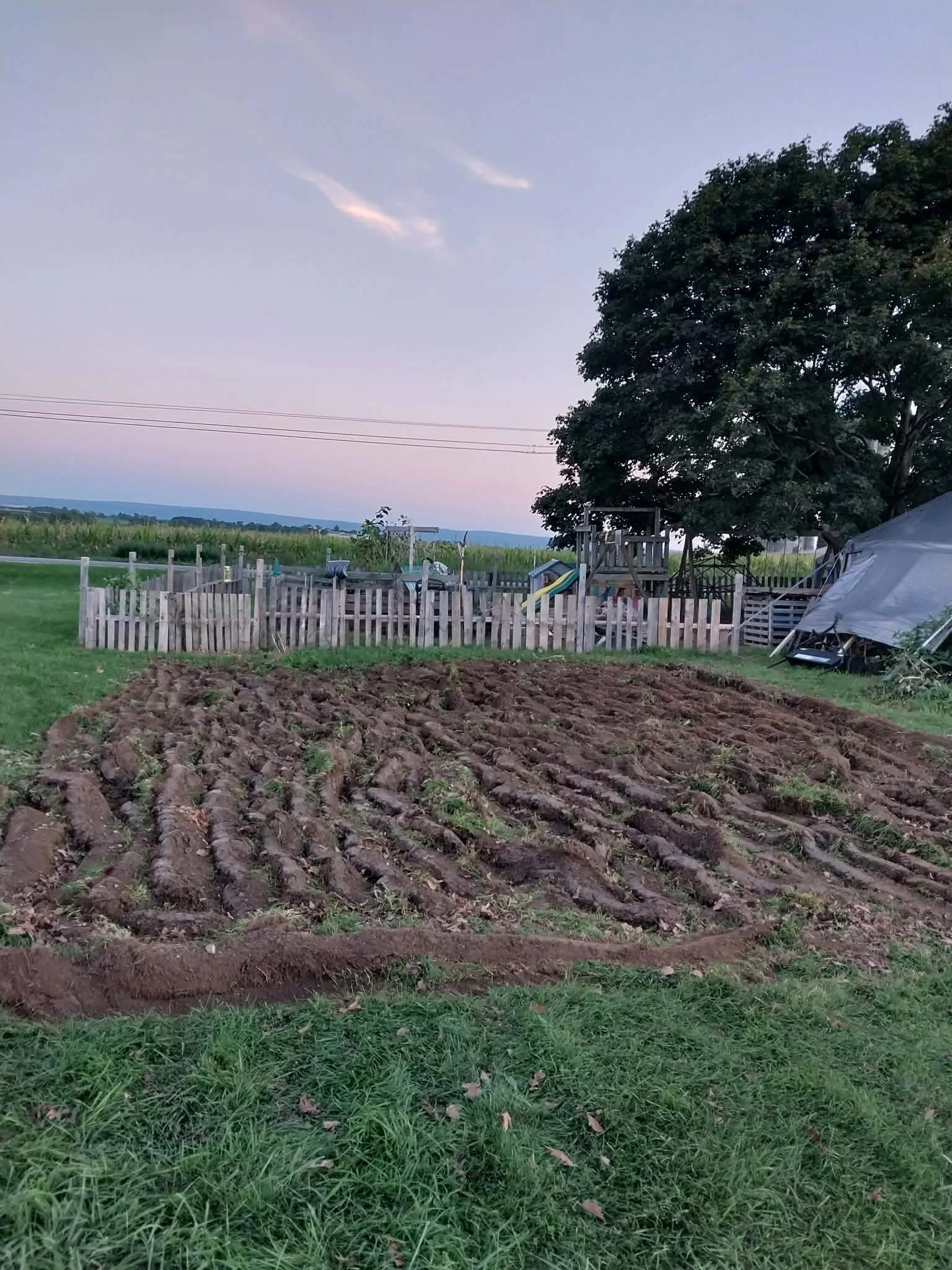 Community Growing Bed