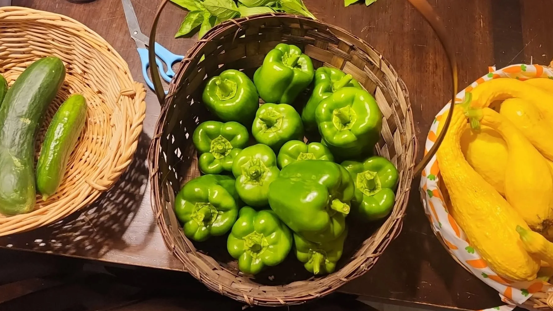 A basket of fresh green bell peppers on a wooden table, with cucumbers in a basket to the left and yellow squash in a bowl to the right.
