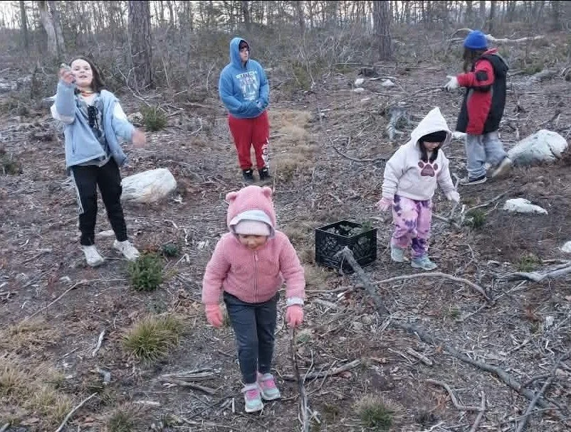 Heathen Farms family gathering natural materials in the forest for their family Yule log