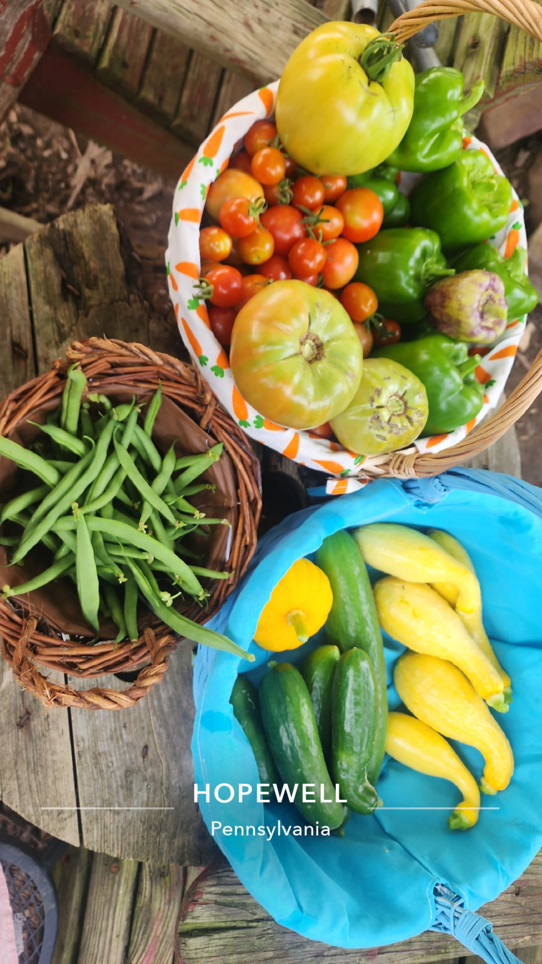 Basket of fresh tomatoes, green bell peppers, yellow tomatoes, and heirloom tomatoes on a wooden surface with another basket of green beans and yellow squash nearby.