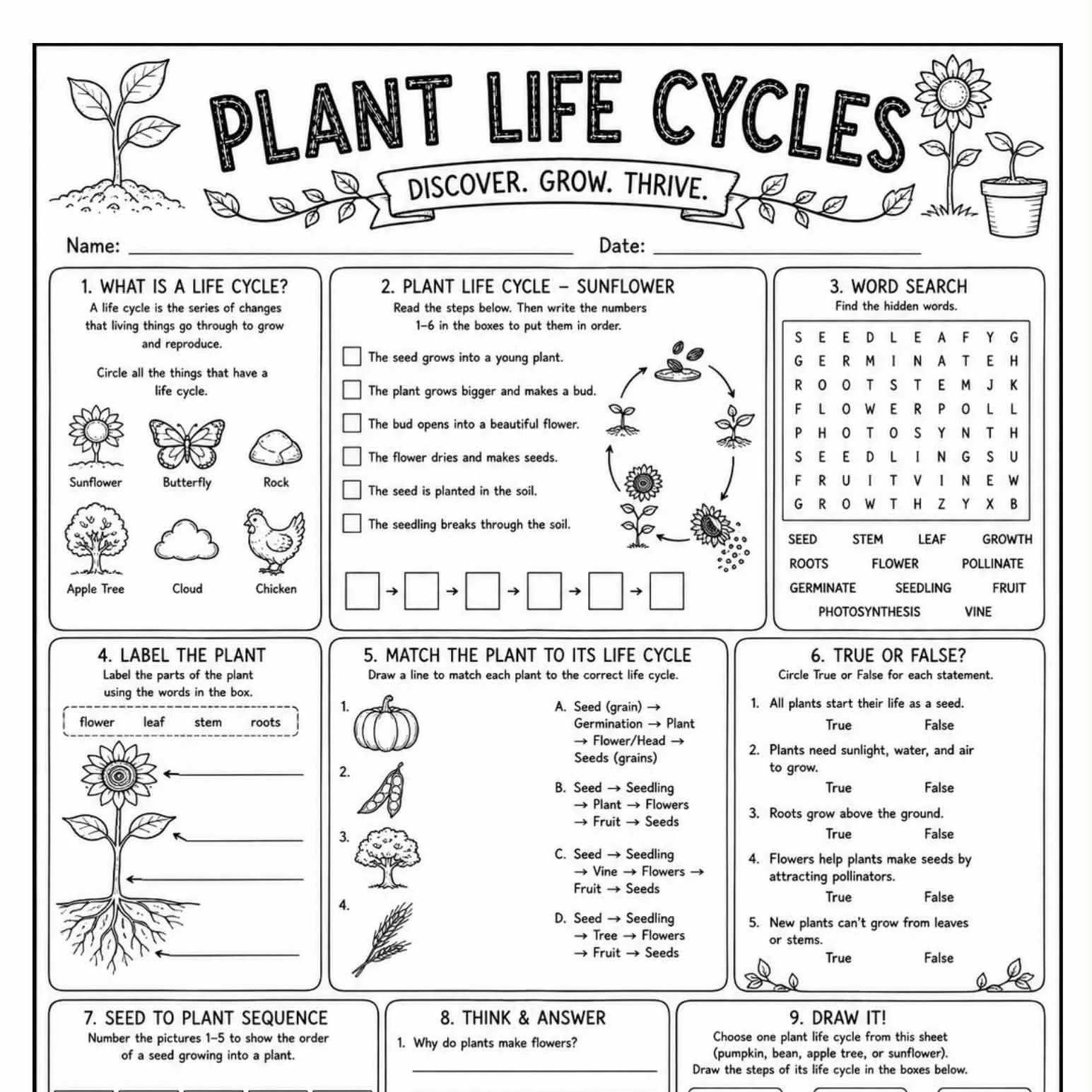 Plant Life Cycle Activity Sheet