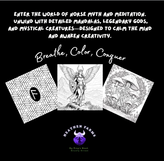 The Norse Mind meditative Norse coloring book cover
