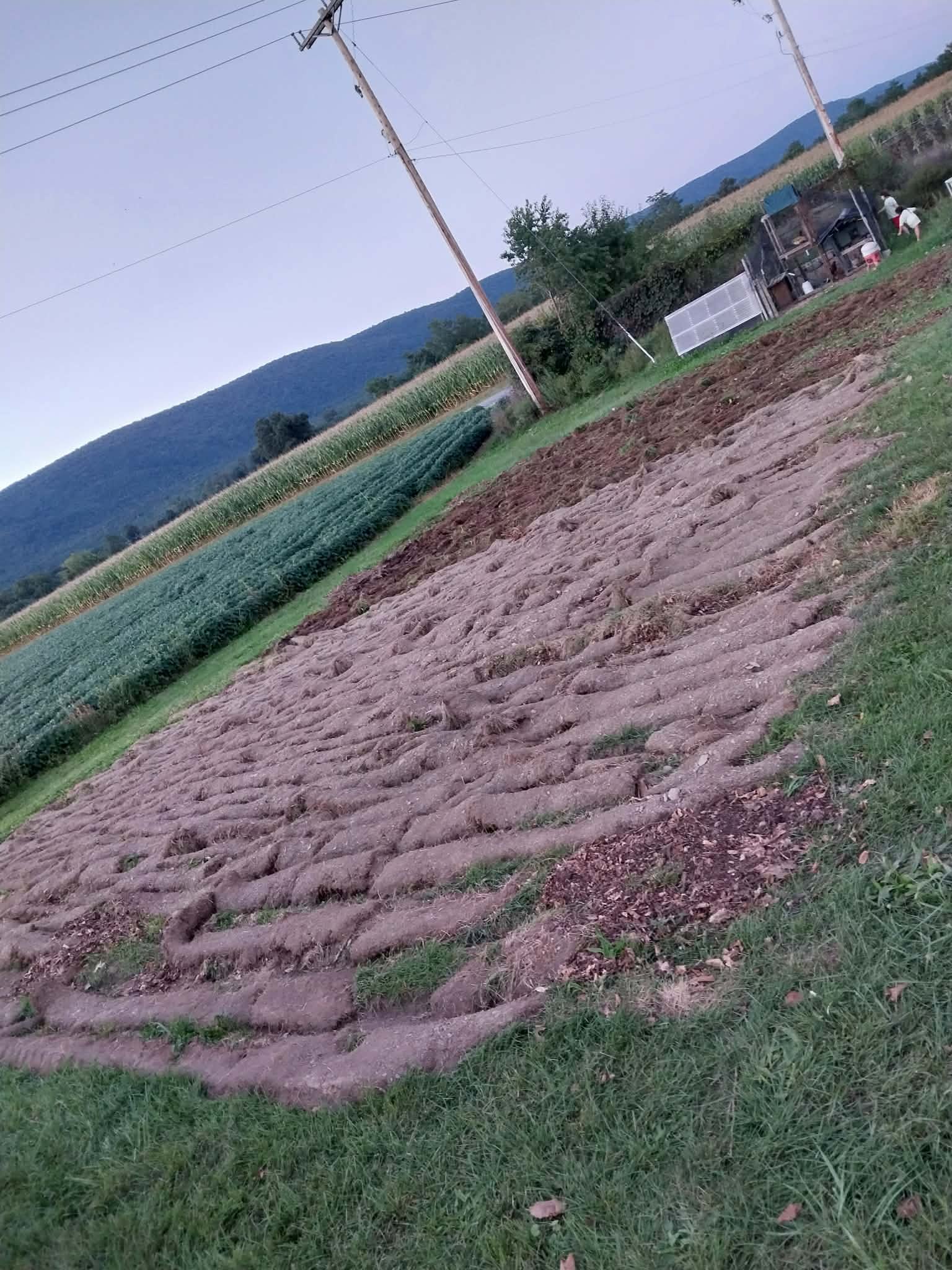 New Growing Beds Being Prepared for Next Season