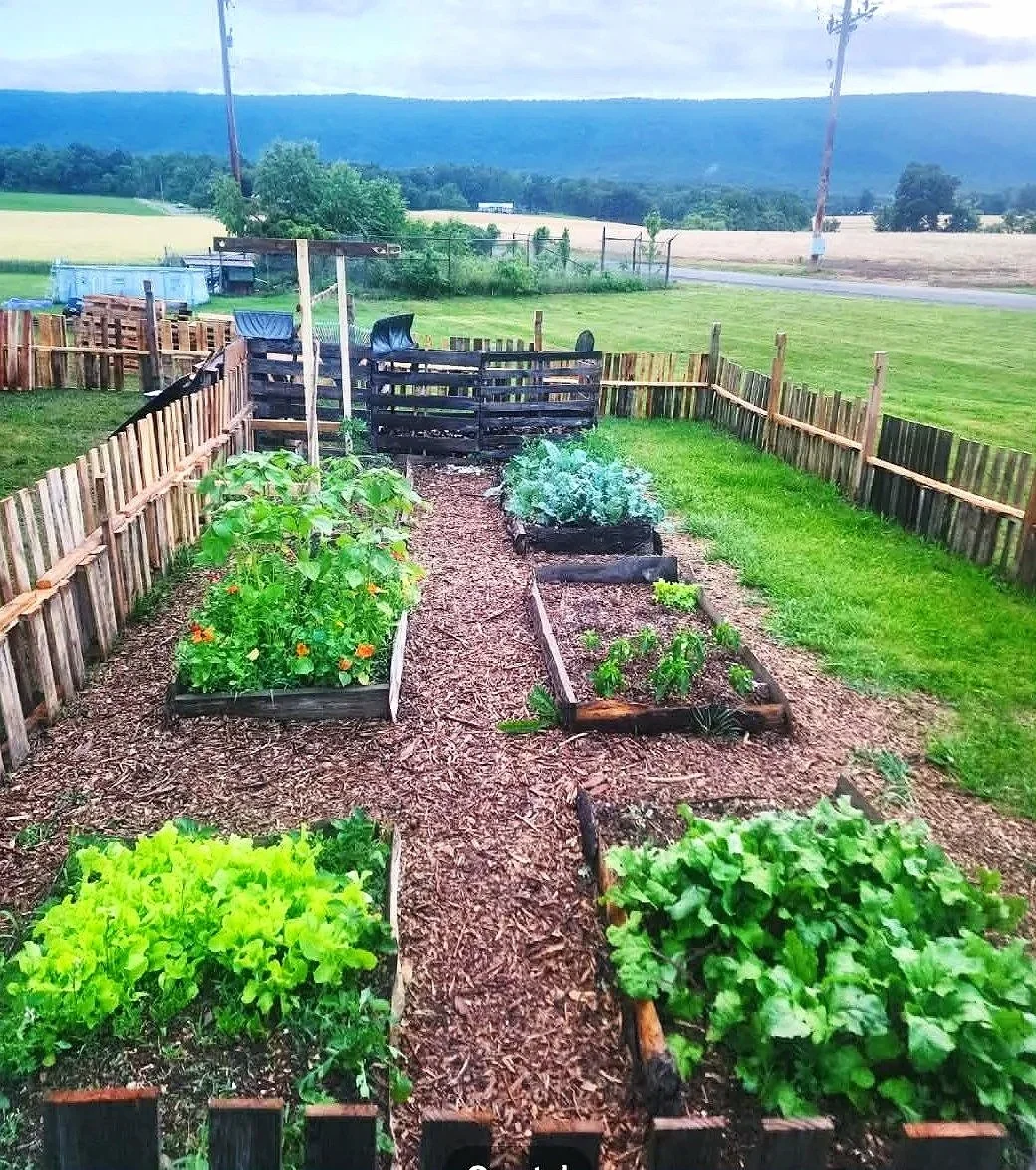 Raised garden beds built from reclaimed slab wood at Heathen Farms