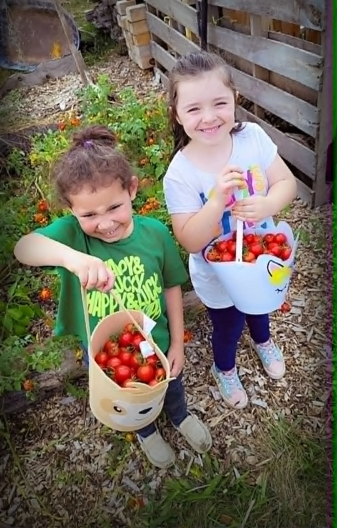 Heathen Farms children carrying buckets of freshly harvested tomatoes in Newburg Pennsylvania