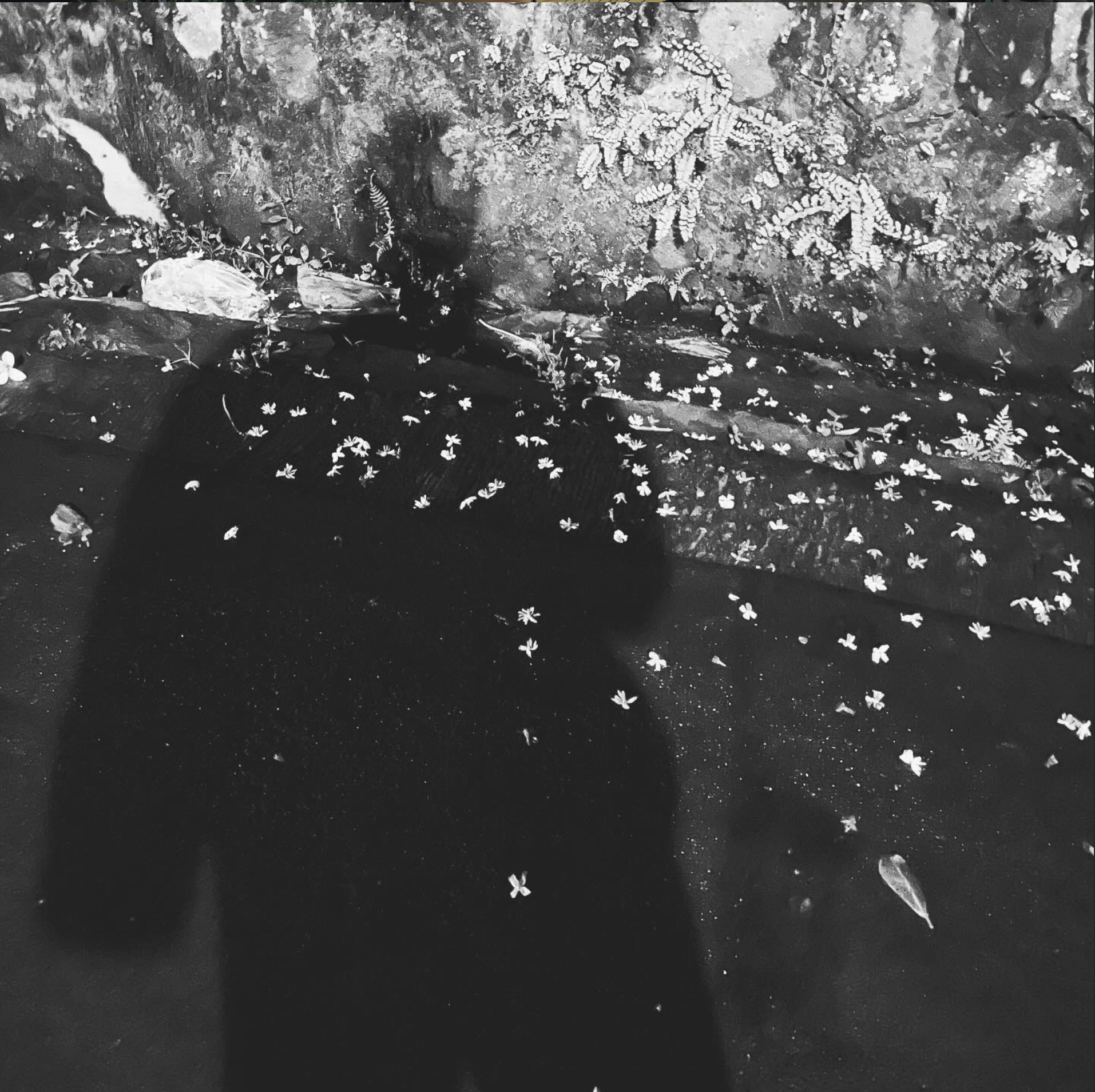 Yang baik (2024)