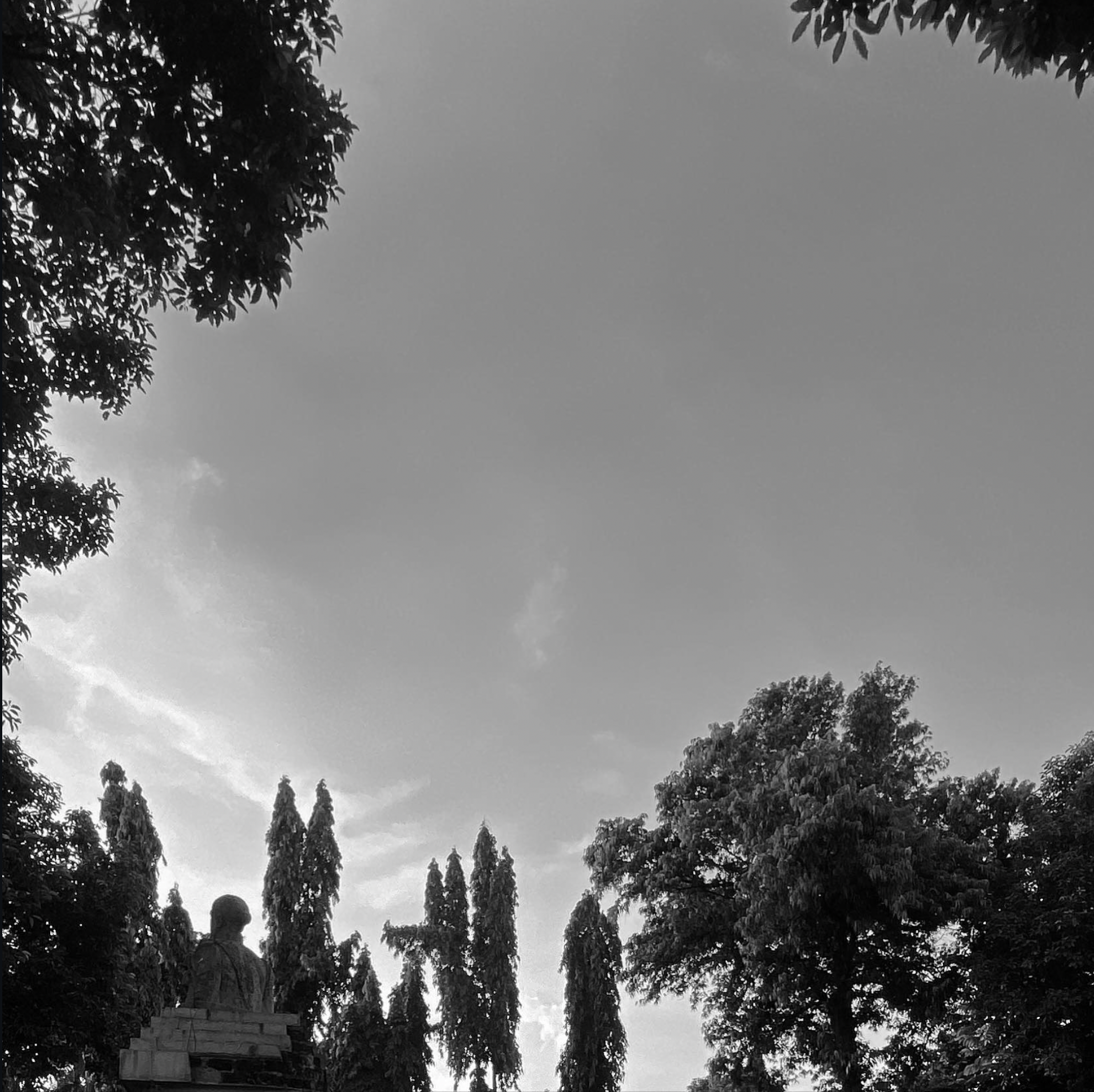 Barangkali (2024)