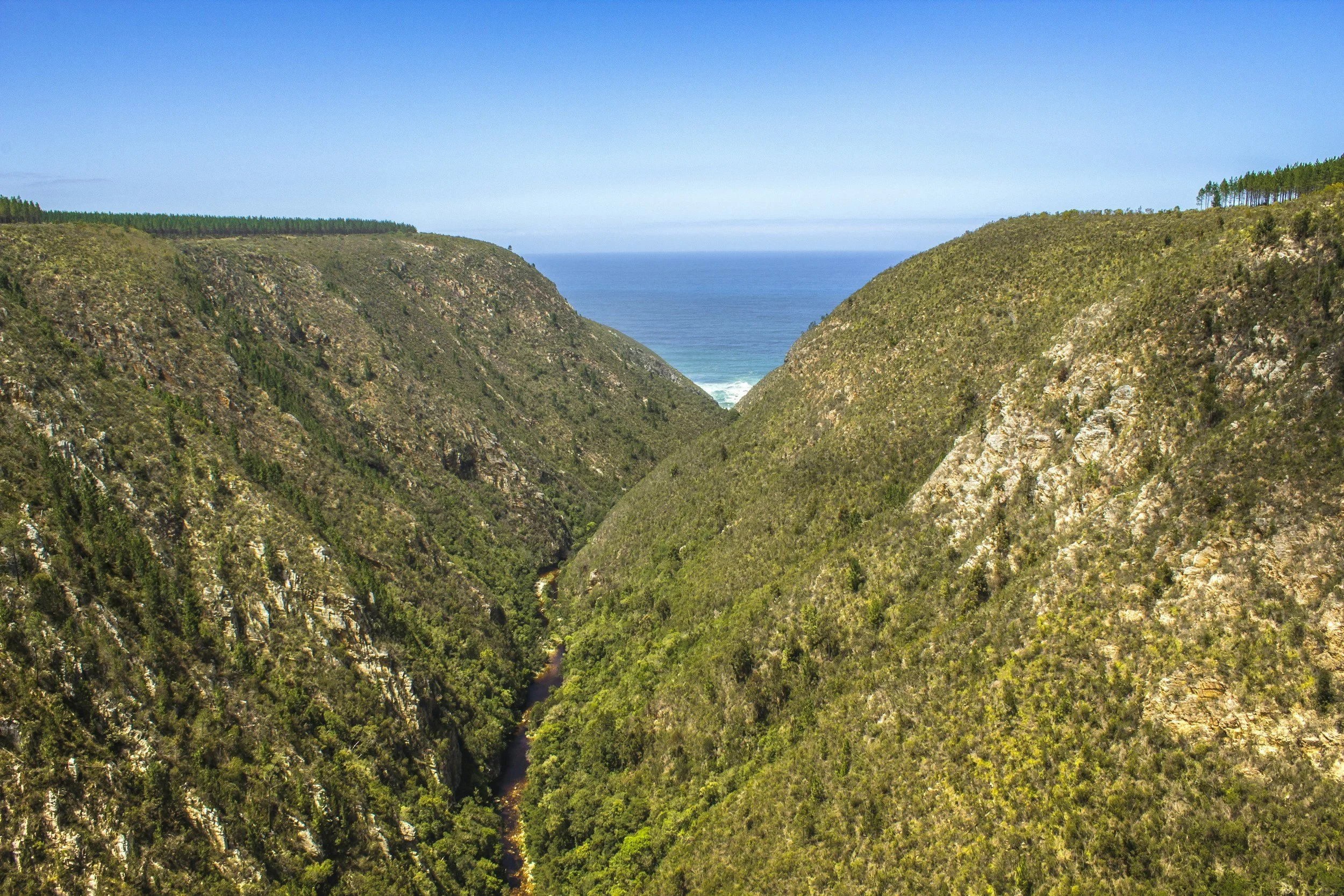 Bloukrans Bridge, Garden Route, South Africa 