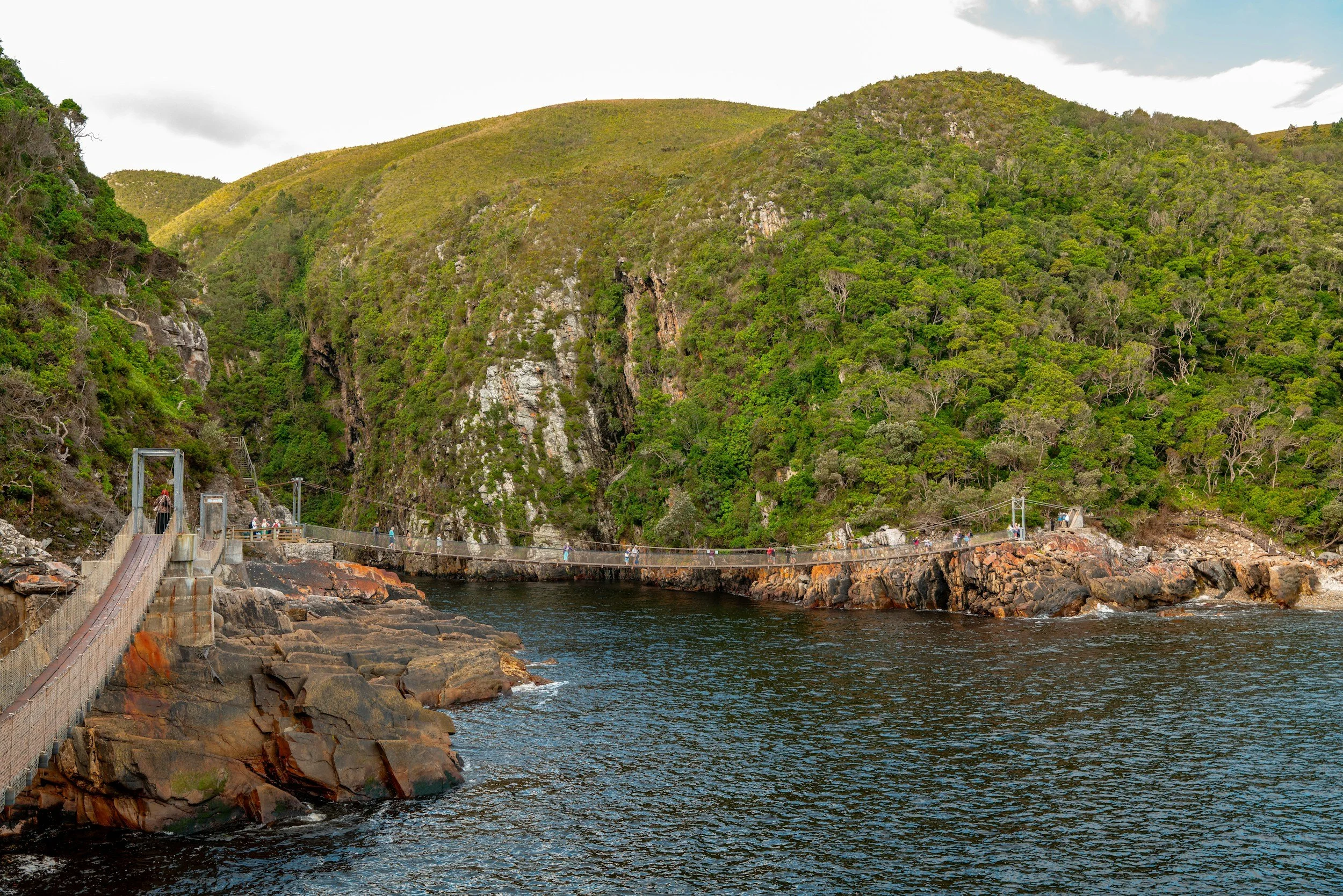 Tsitsikamma National Park