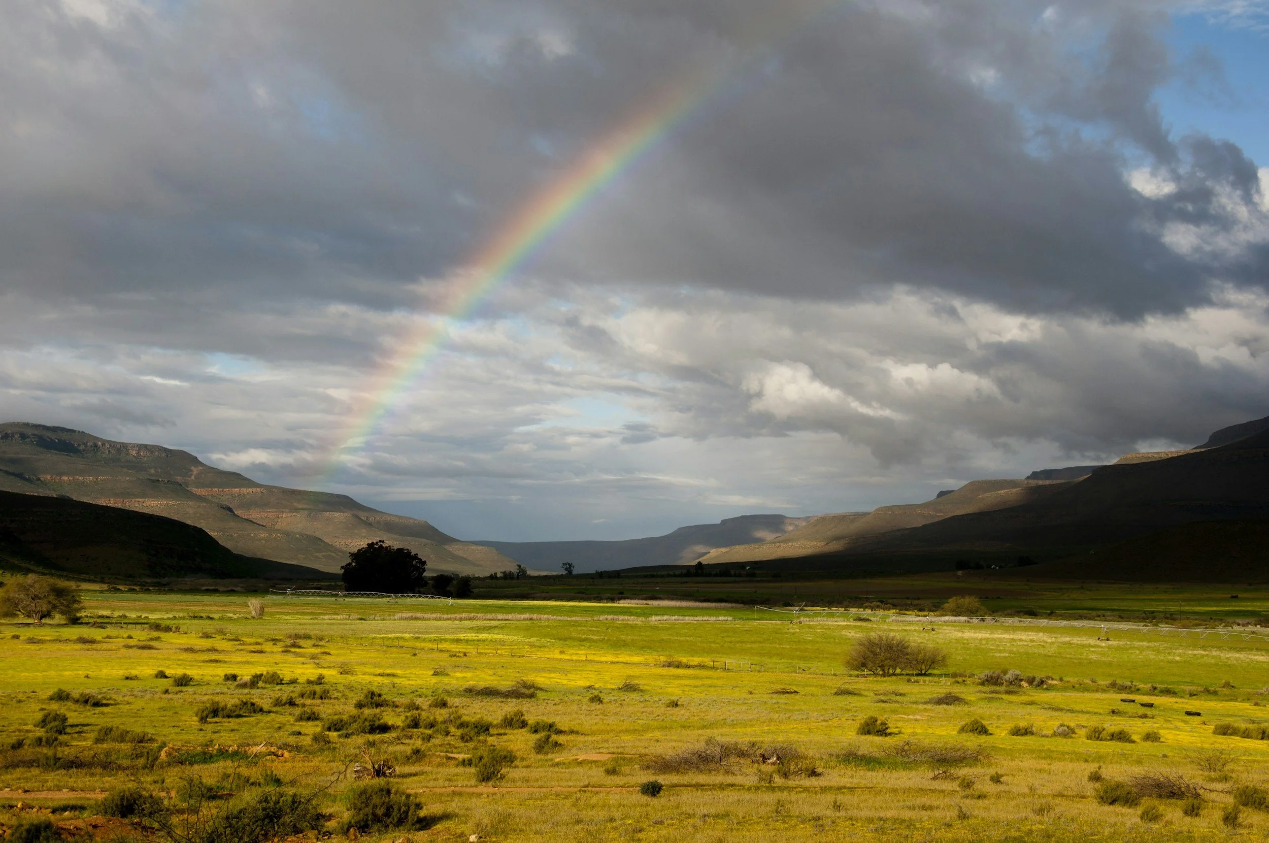 Namaqualand, South Africa