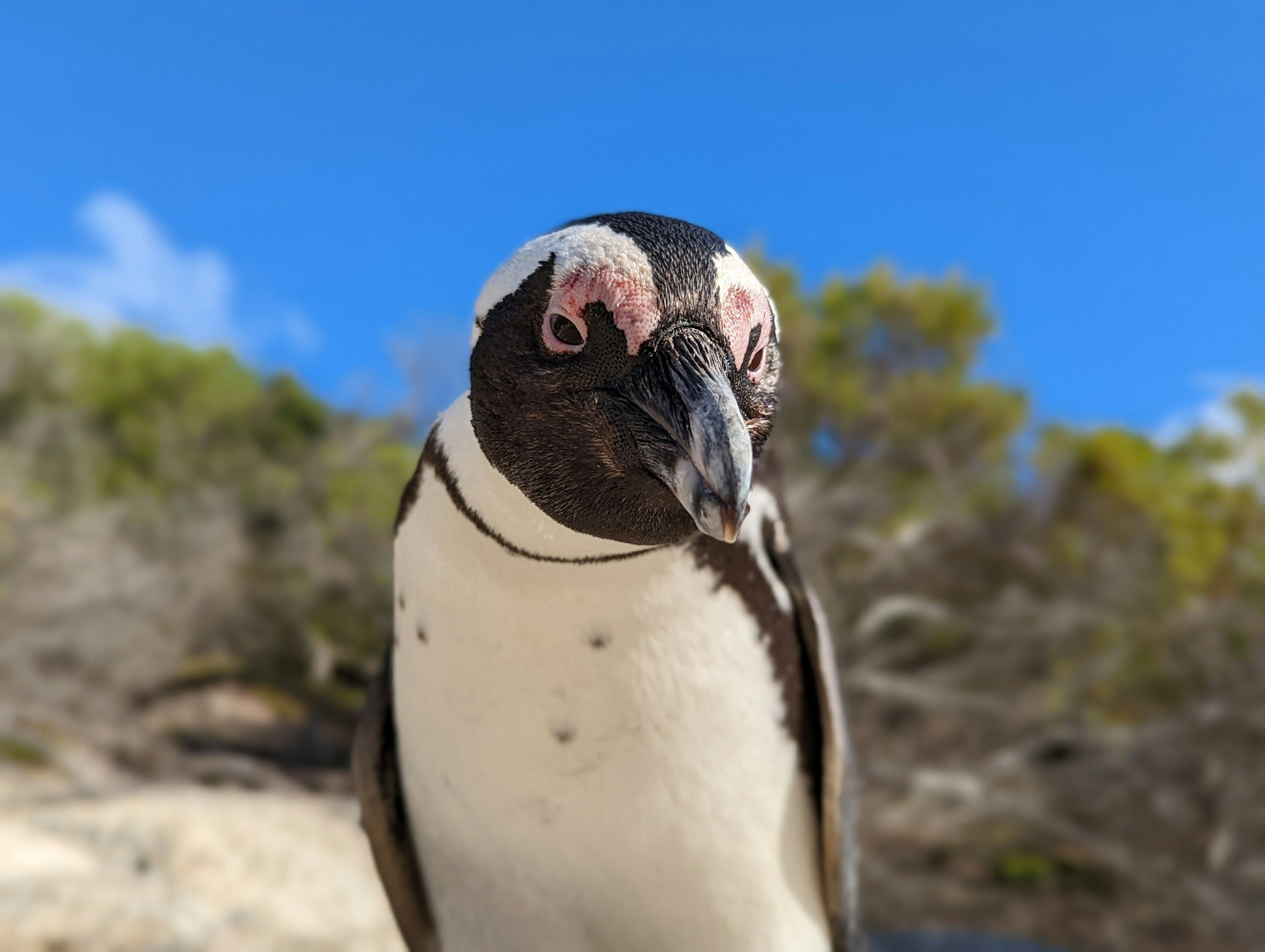 unsplash-image-2kir2k09e9A.jpg