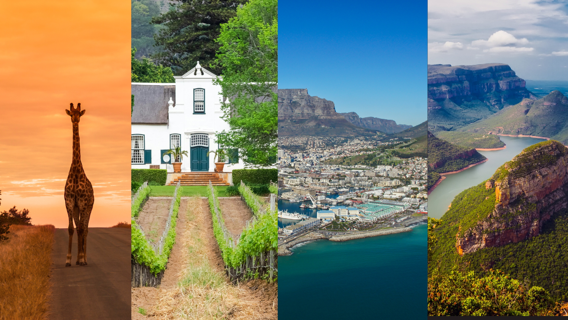 What Nobody Tells You About Riding in South Africa