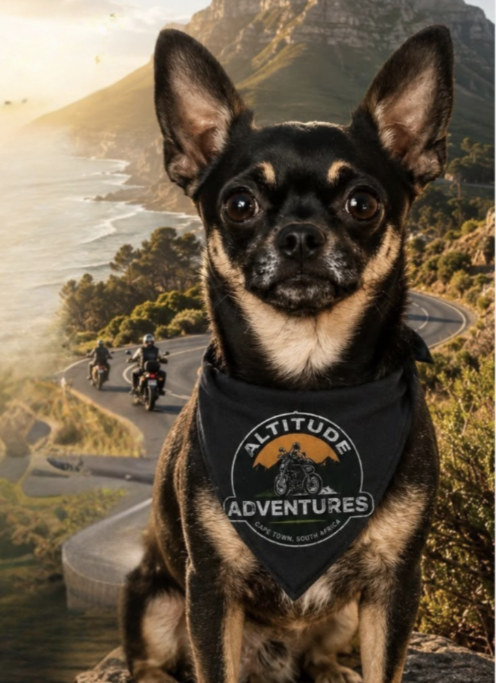 A small black and tan Chihuahua dog wearing a black bandana with an 'Altitude Adventures' logo, in front of a scenic coastal mountain landscape with three motorcyclists riding along a winding road.