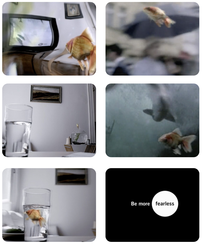 Sequence of images showing a goldfish in different scenes: in a room, outside in water, in a glass of water, with a reflection, and with an inspirational quote 'Be more fearless'.