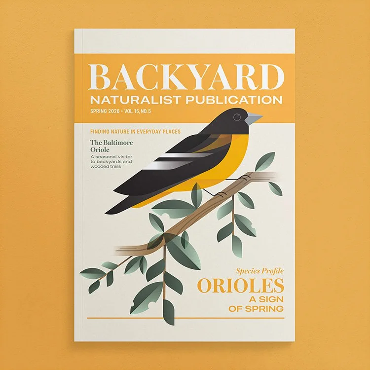 baltimore-oriole_thumbnail.jpg