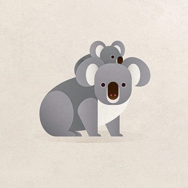 australian-wildlife_thumbnail.jpg