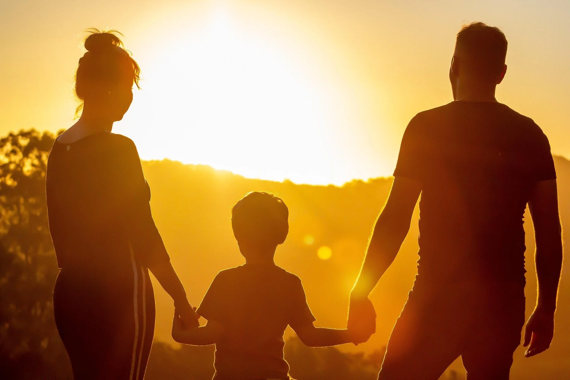 Silhouettes of four people, likely a family, holding hands at sunset in a natural outdoor setting.