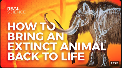 Cover of a science video titled 'How to Bring an Extinct Animal Back to Life' with an image of a mammoth, showing its skeleton and a digital reconstruction of its appearance against an orange background.