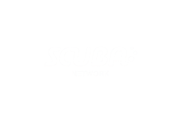 Logo for Subway Network with stylized text on a black background.