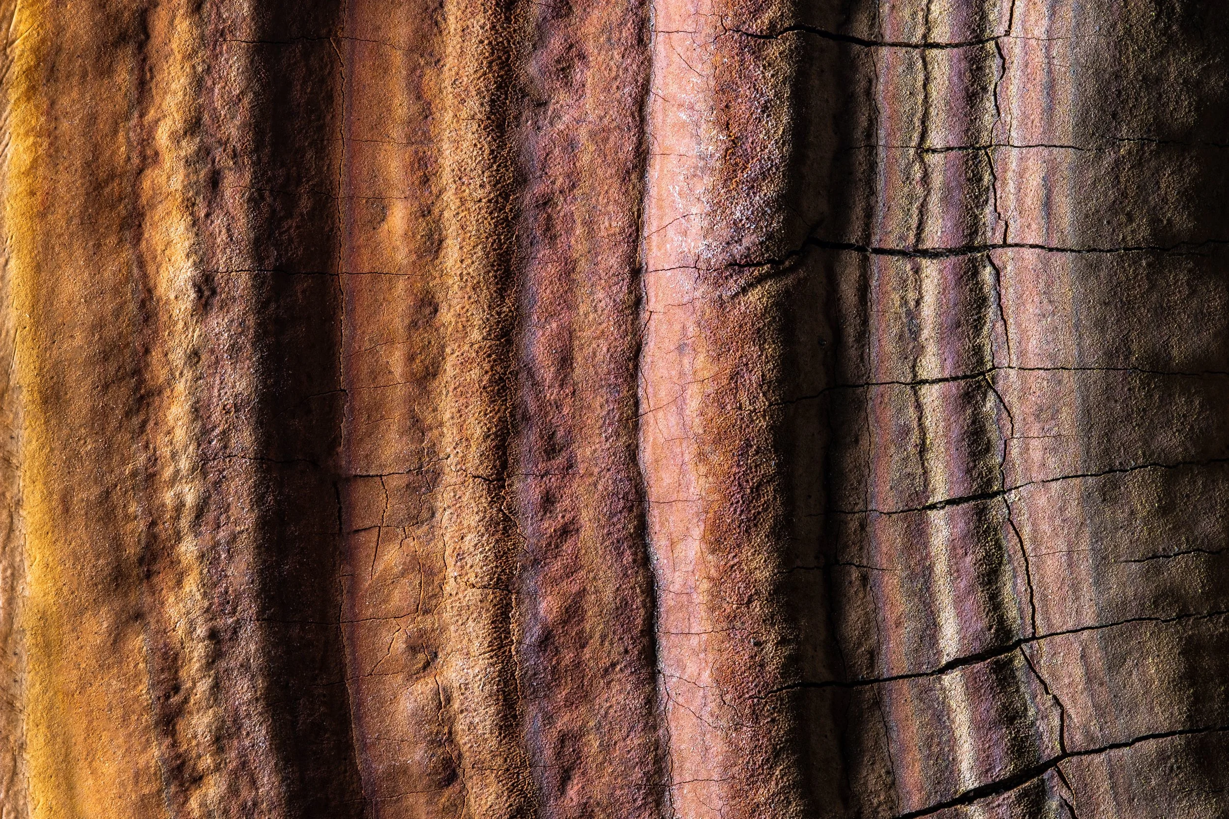 natureza_macrofotografia_fine_art-3.jpg