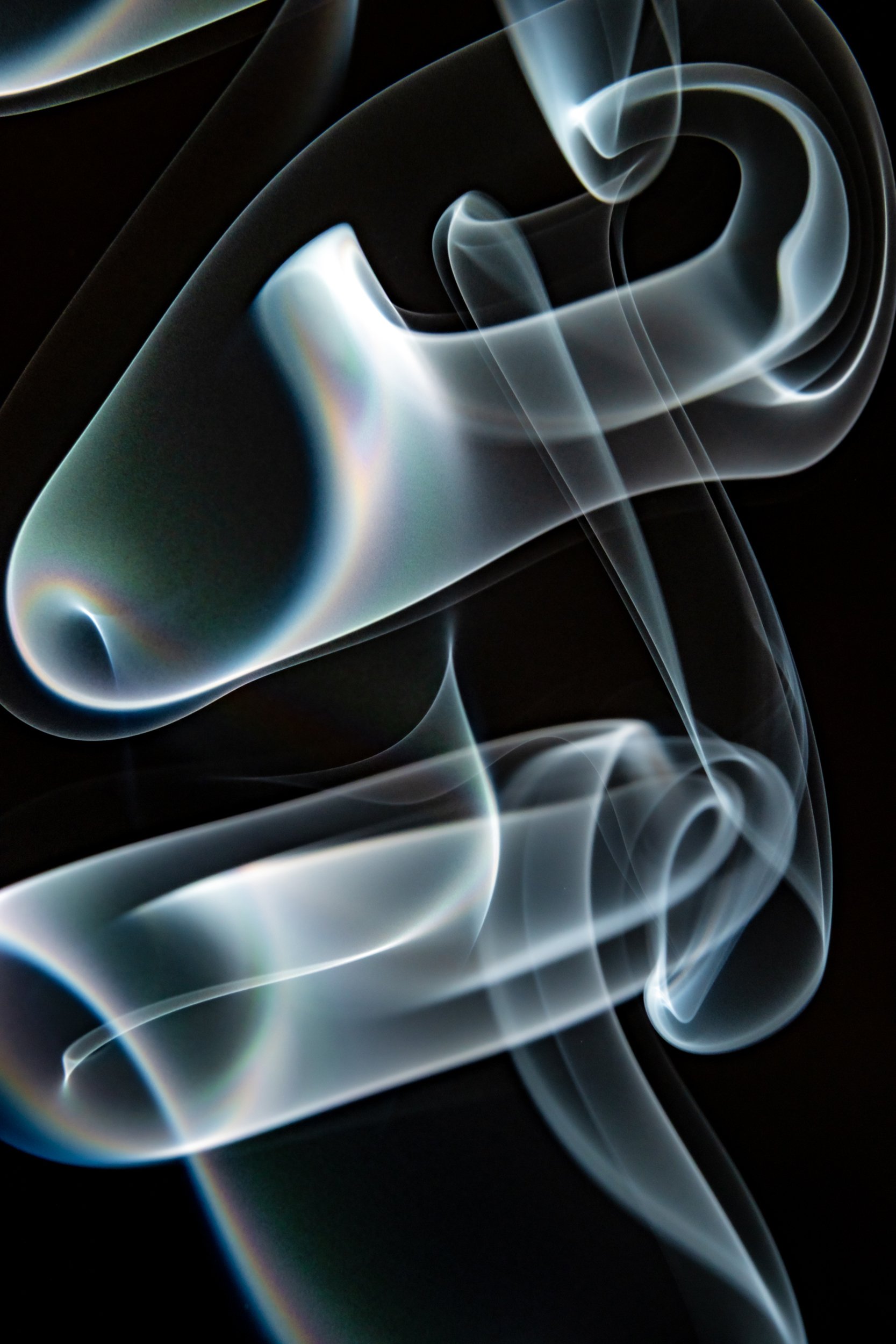 volatil-preta-macrofotografia-fine-art-12.jpg